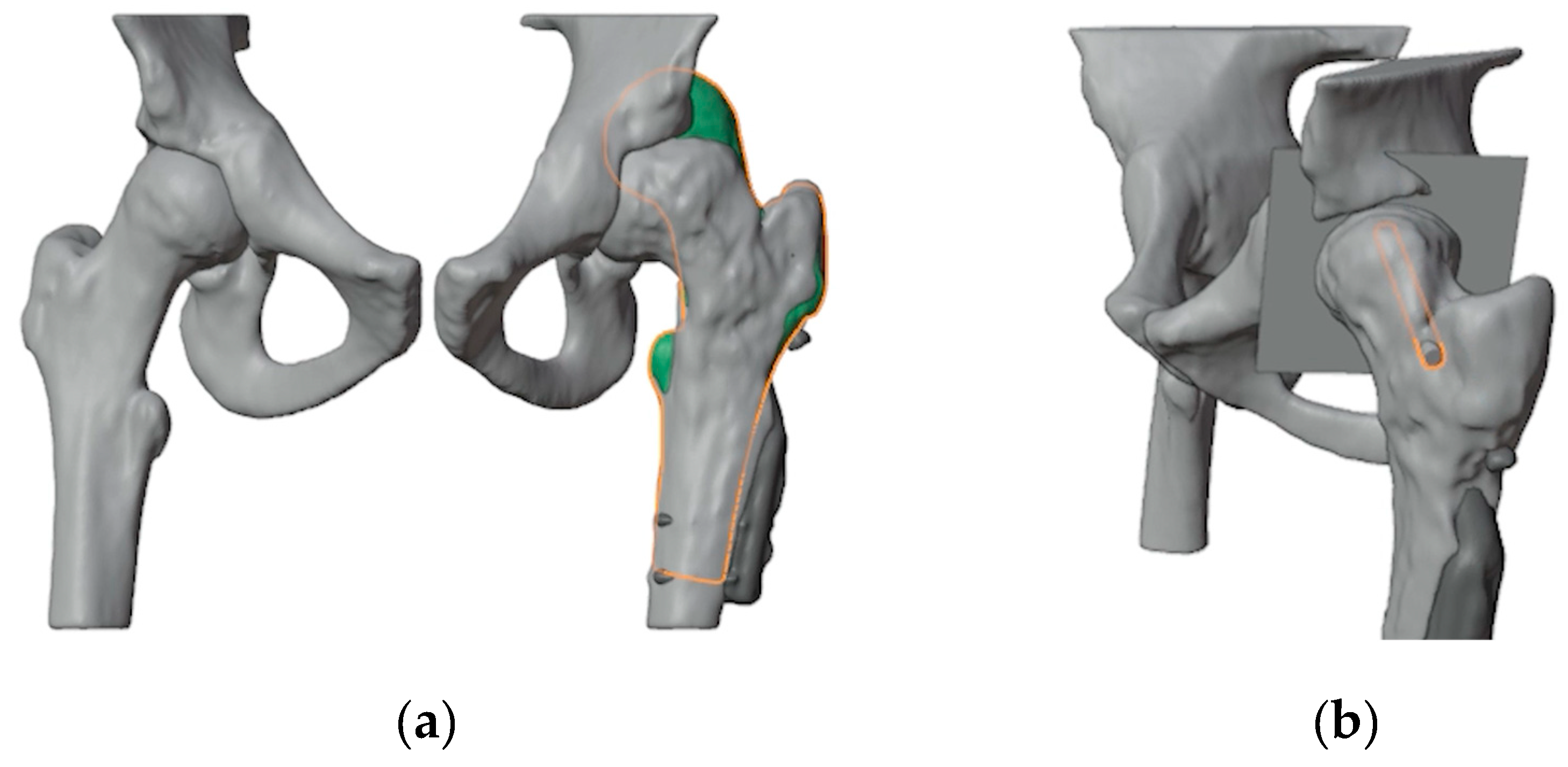 Preprints 141437 g002