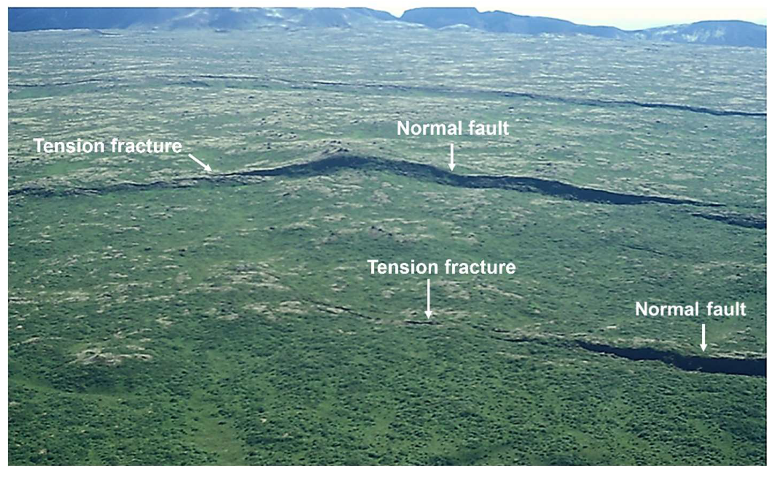 Preprints 158816 g007