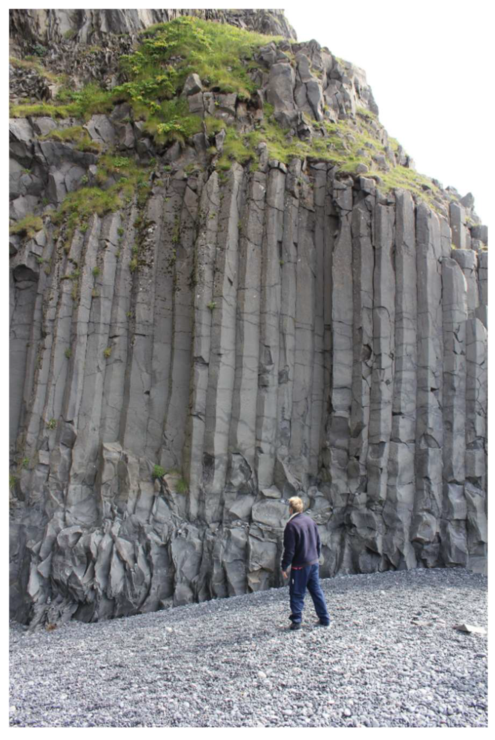 Preprints 158816 g008