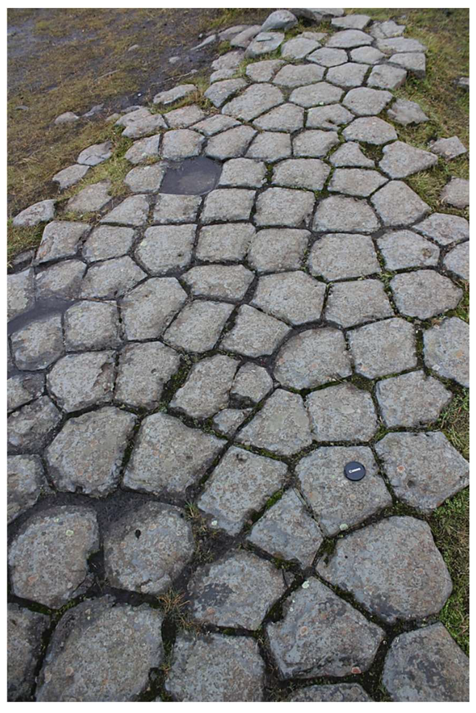 Preprints 158816 g009