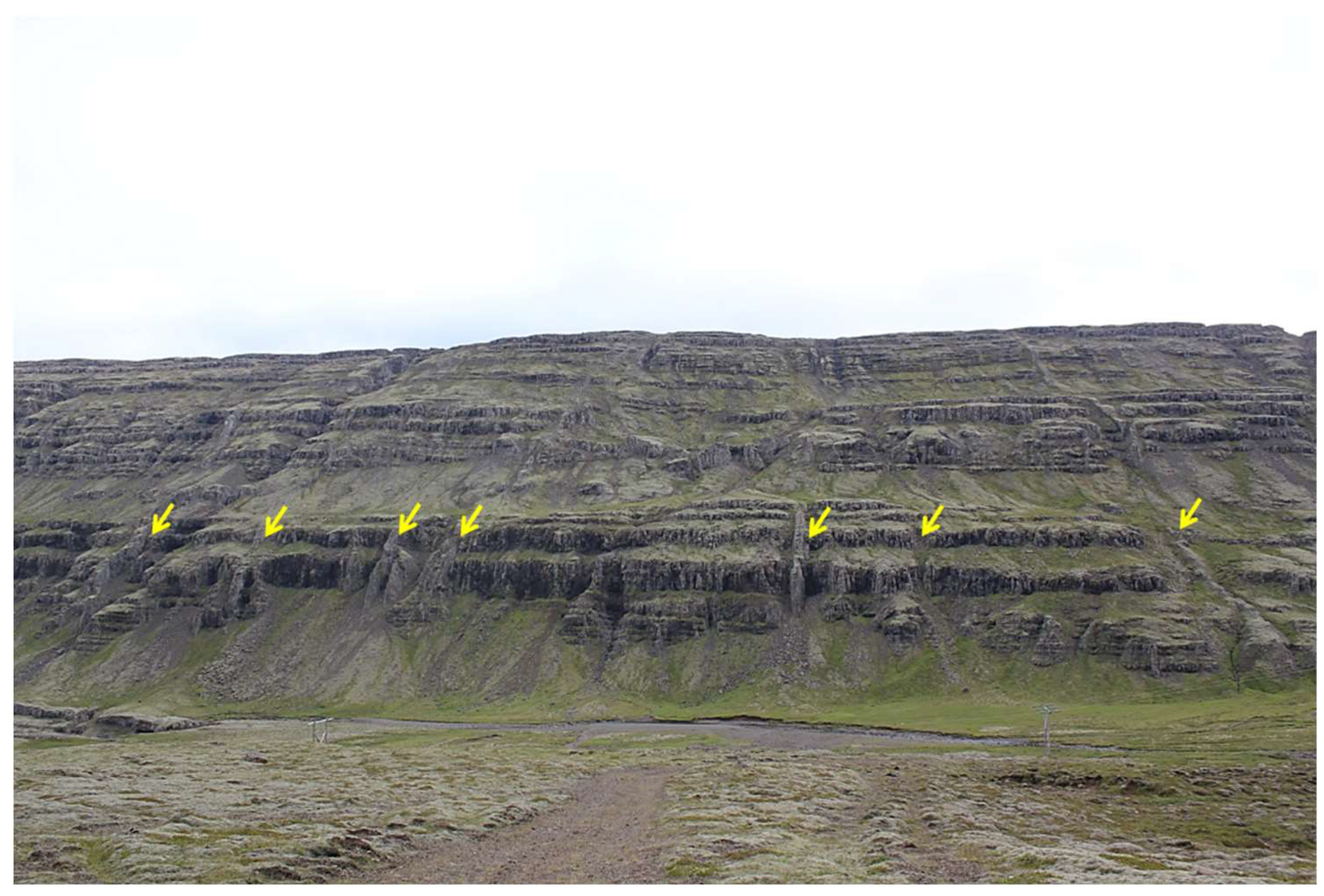 Preprints 158816 g010