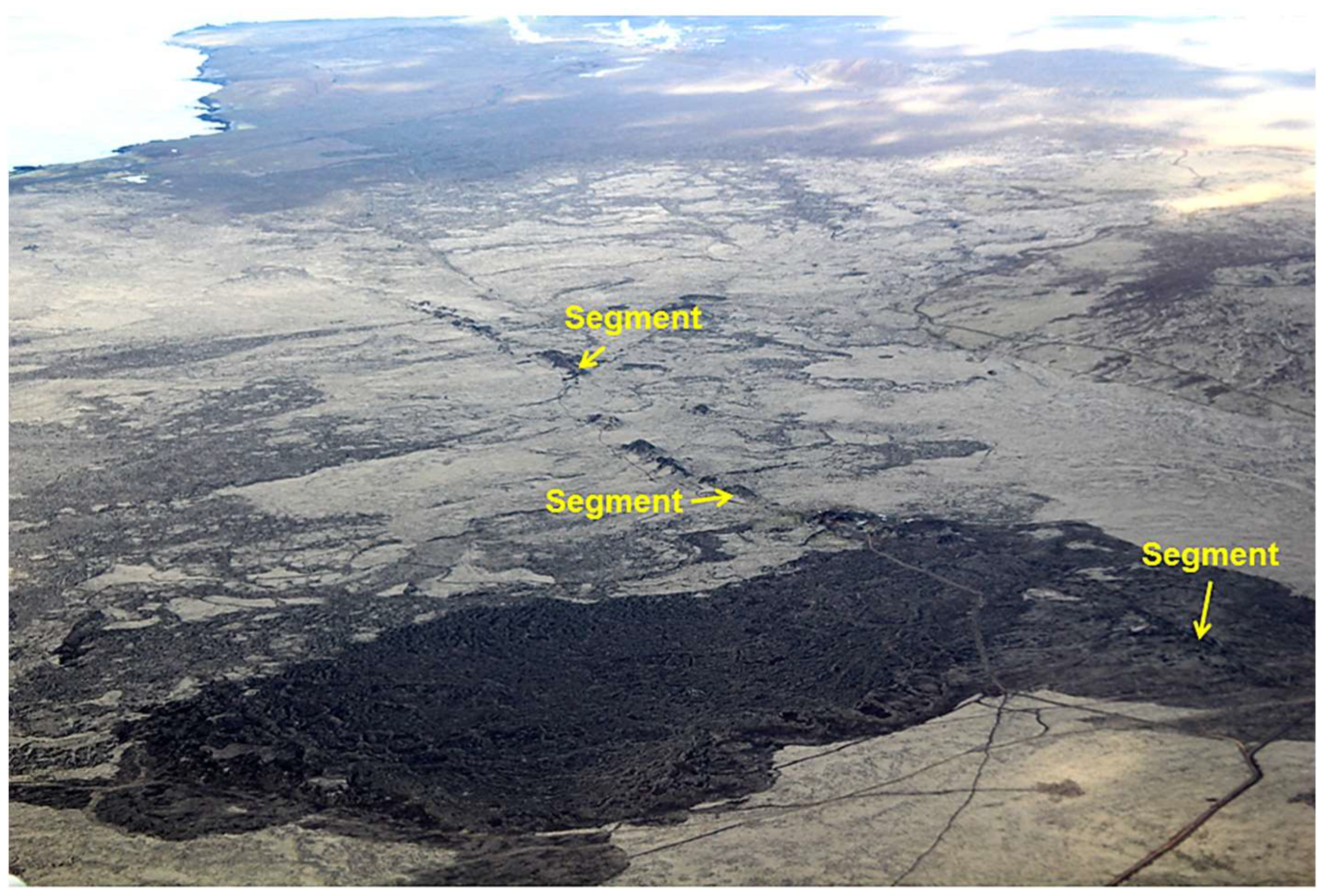 Preprints 158816 g015