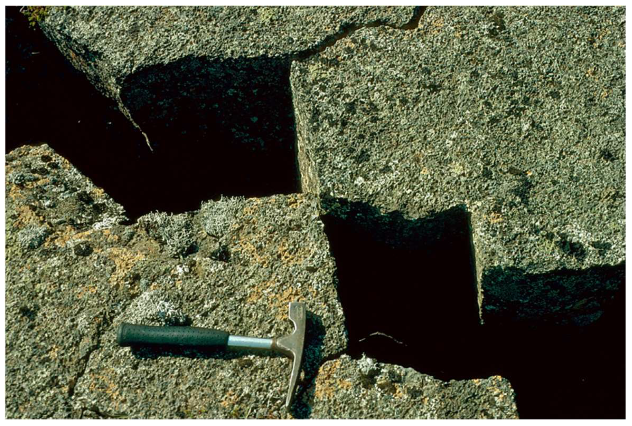 Preprints 158816 g018