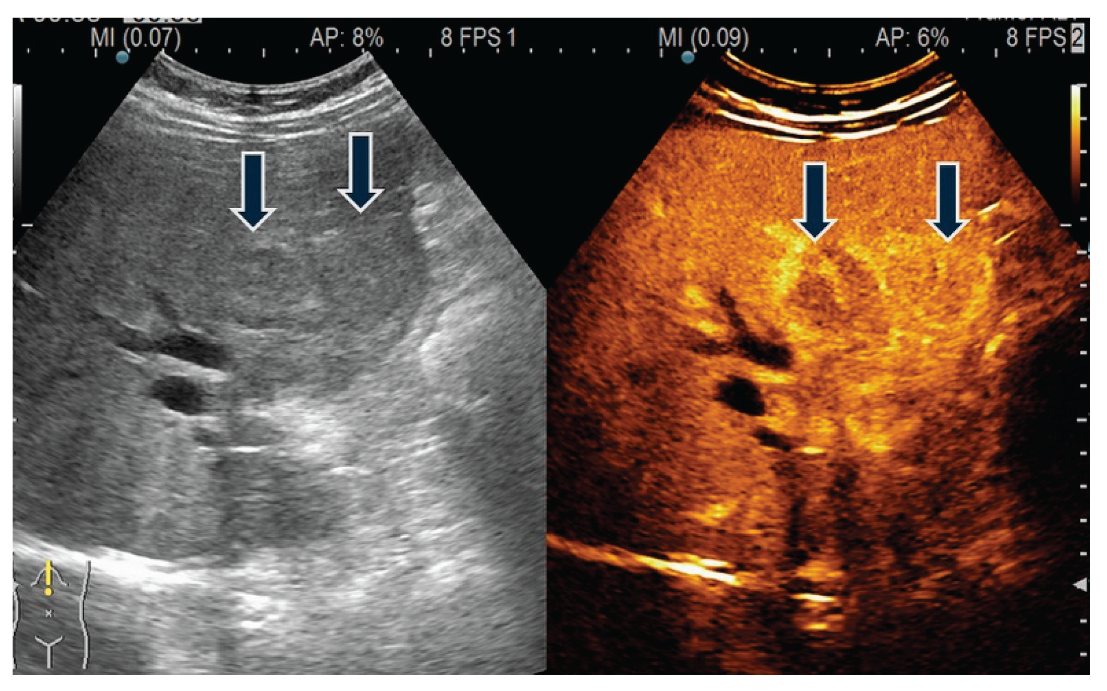 Preprints 159679 g012