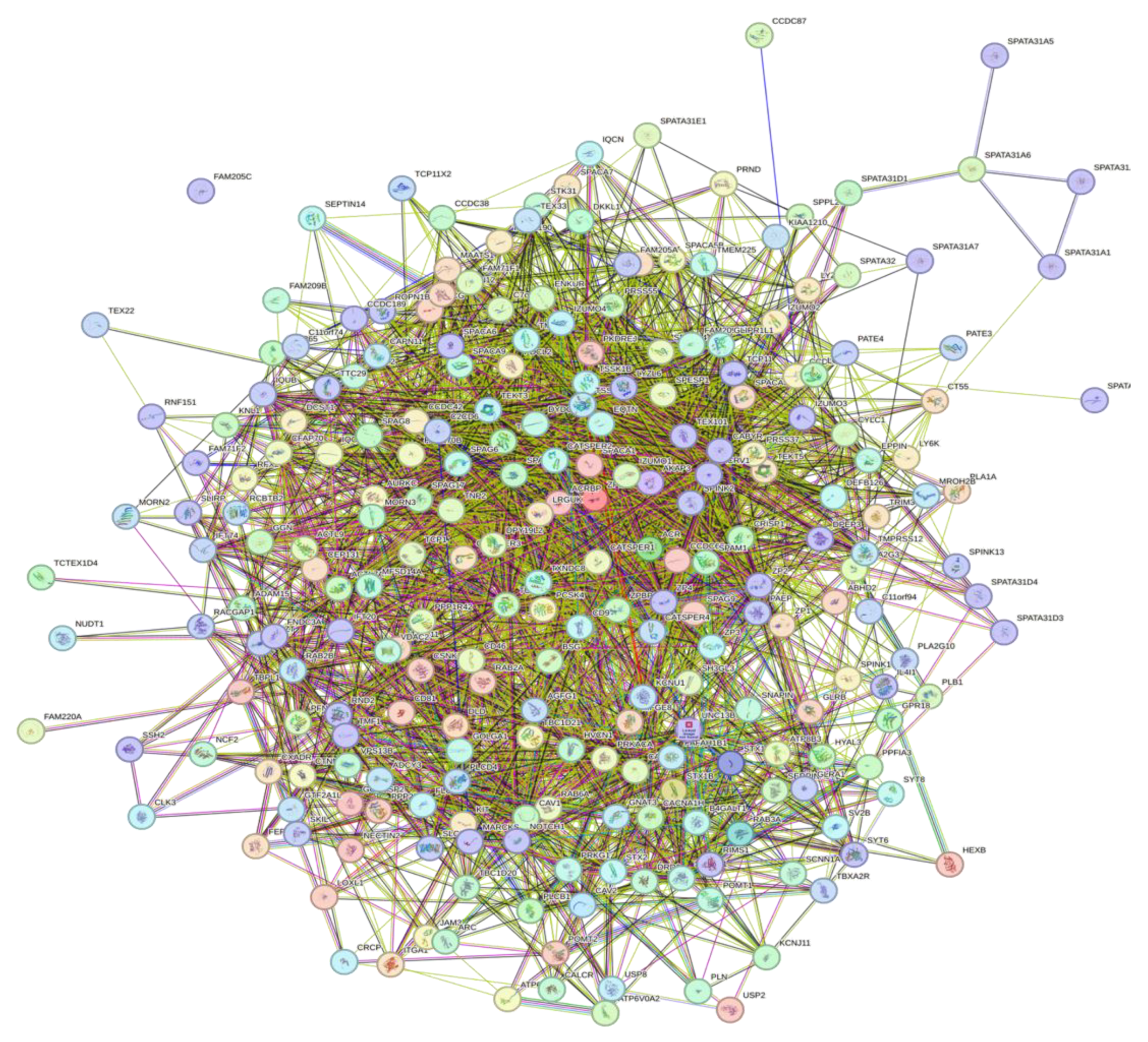 Preprints 145927 g011