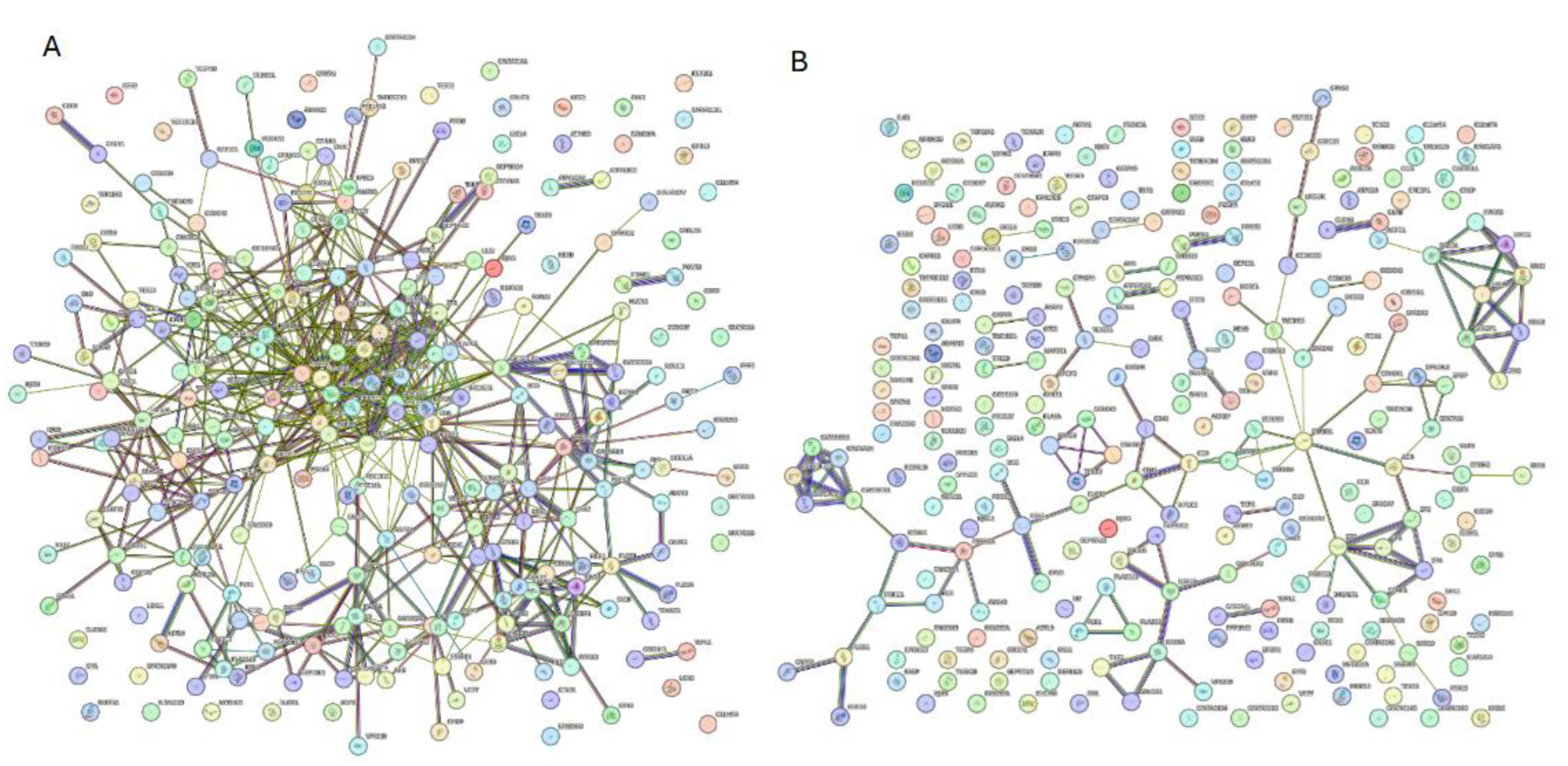 Preprints 145927 g012