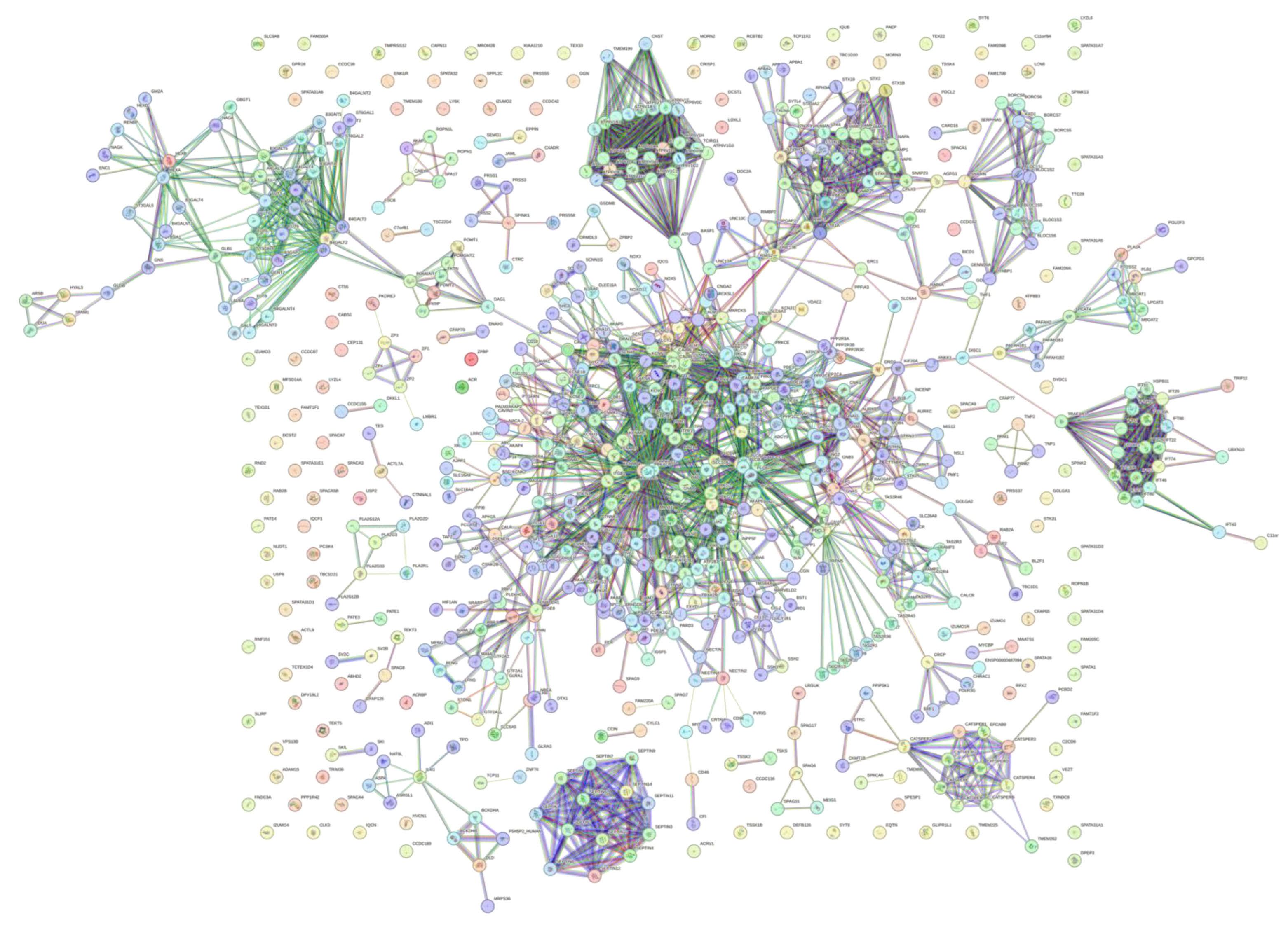 Preprints 145927 g013