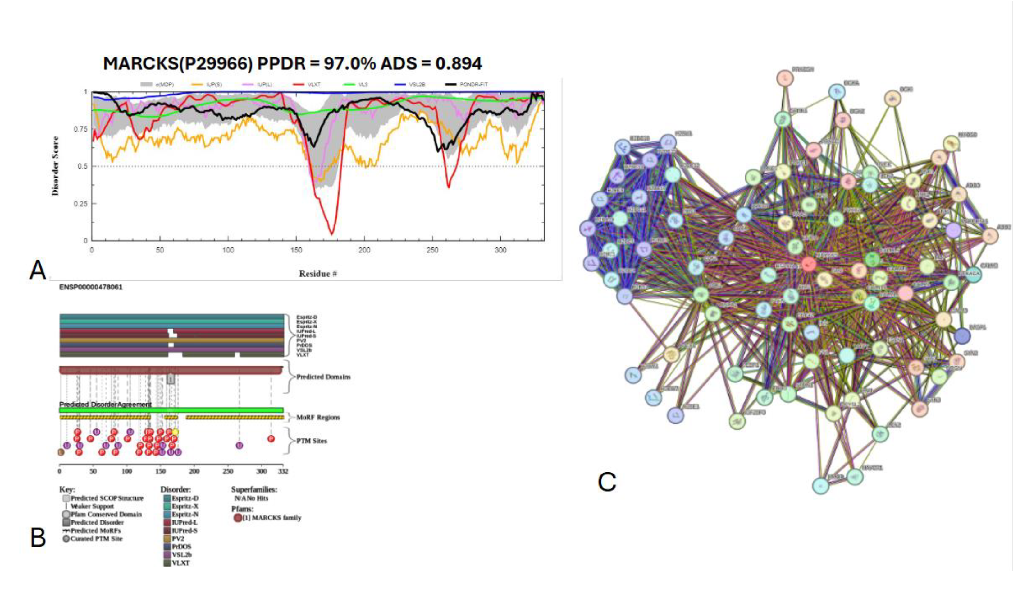 Preprints 145927 g017