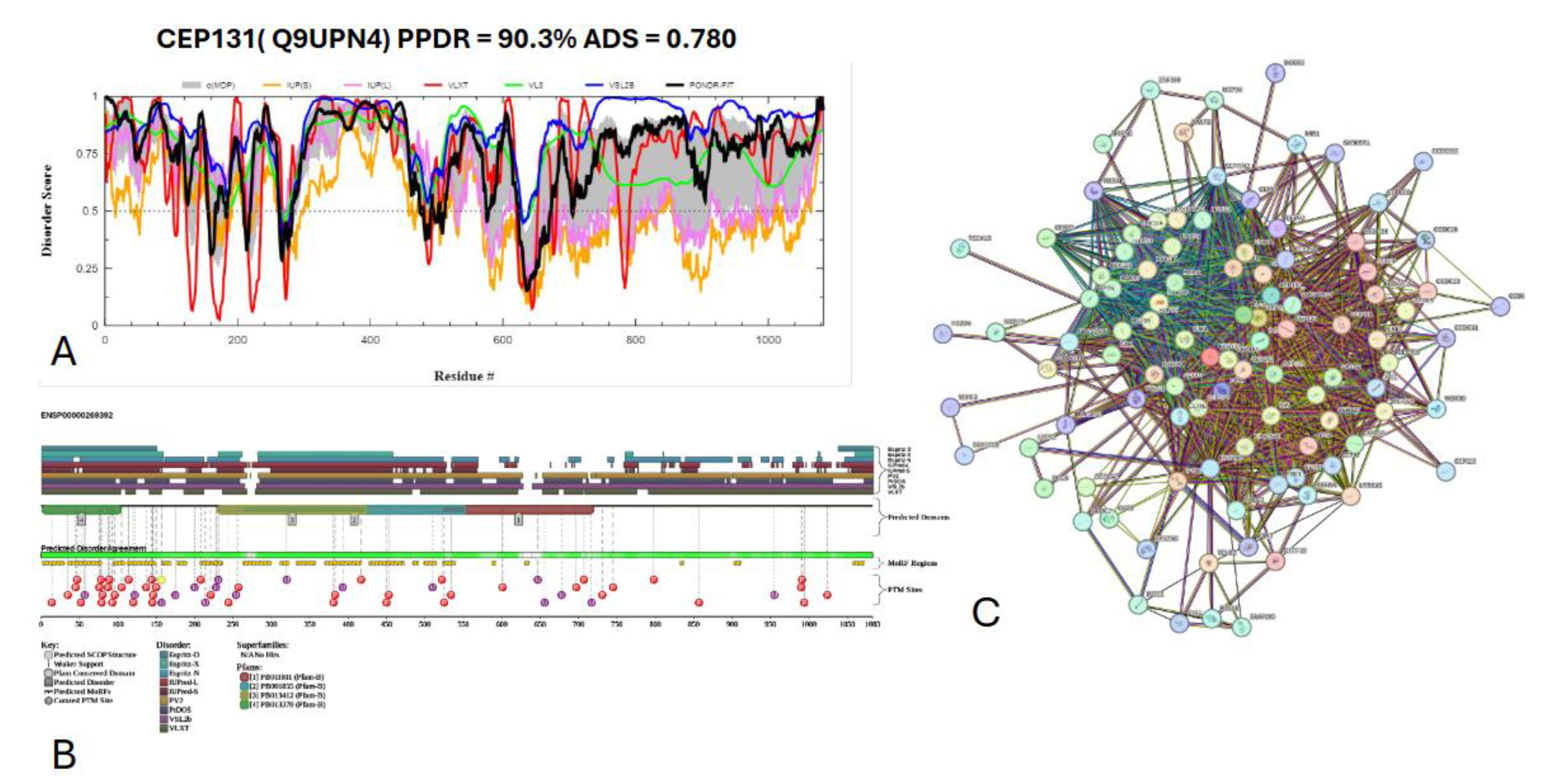 Preprints 145927 g019