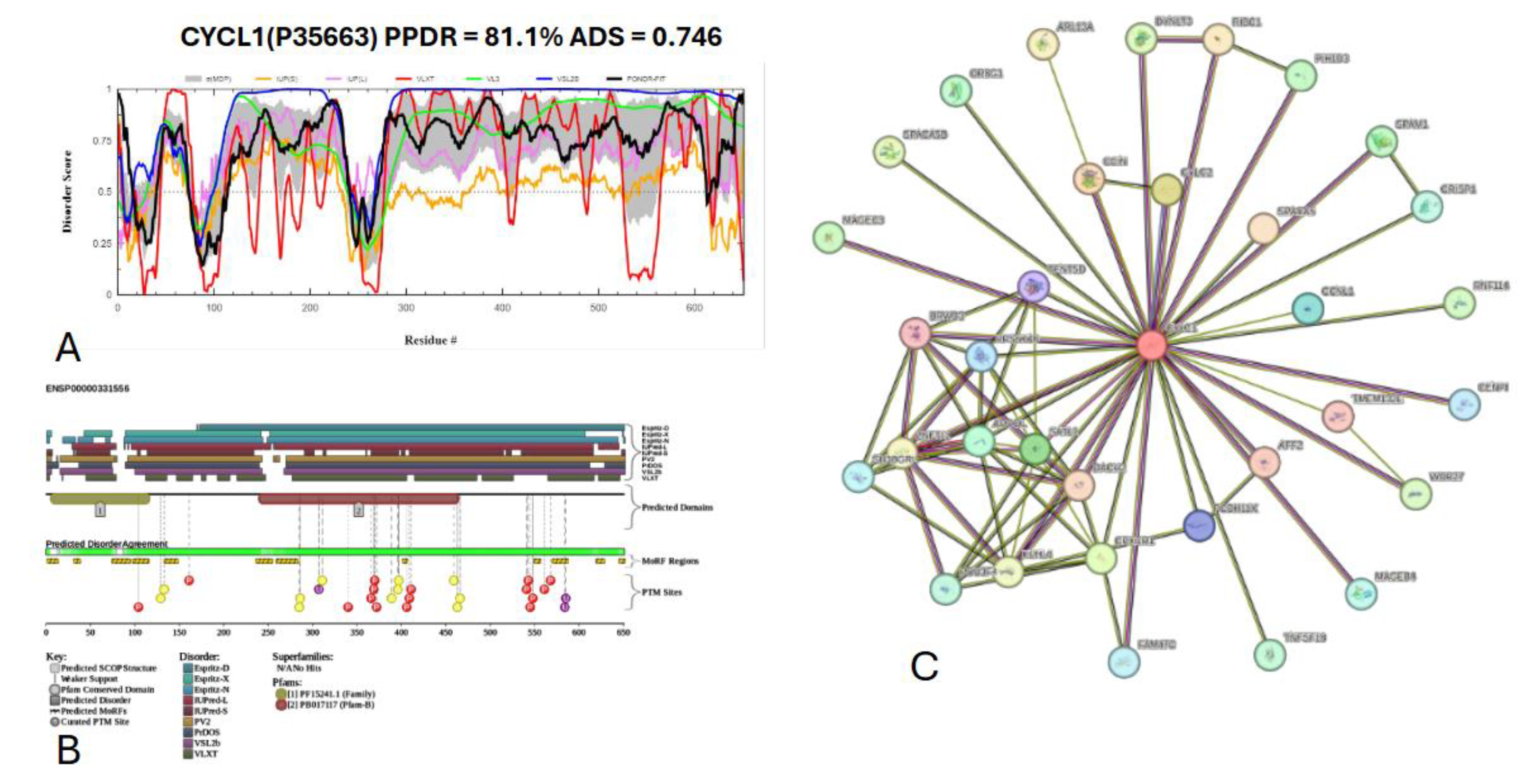 Preprints 145927 g020