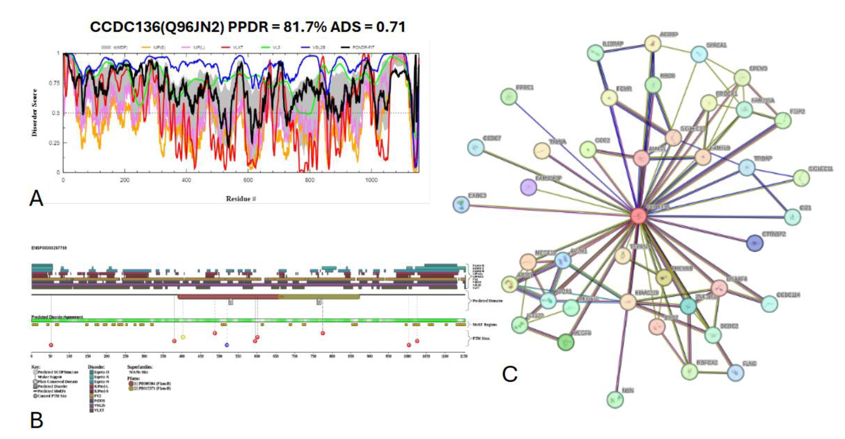 Preprints 145927 g021