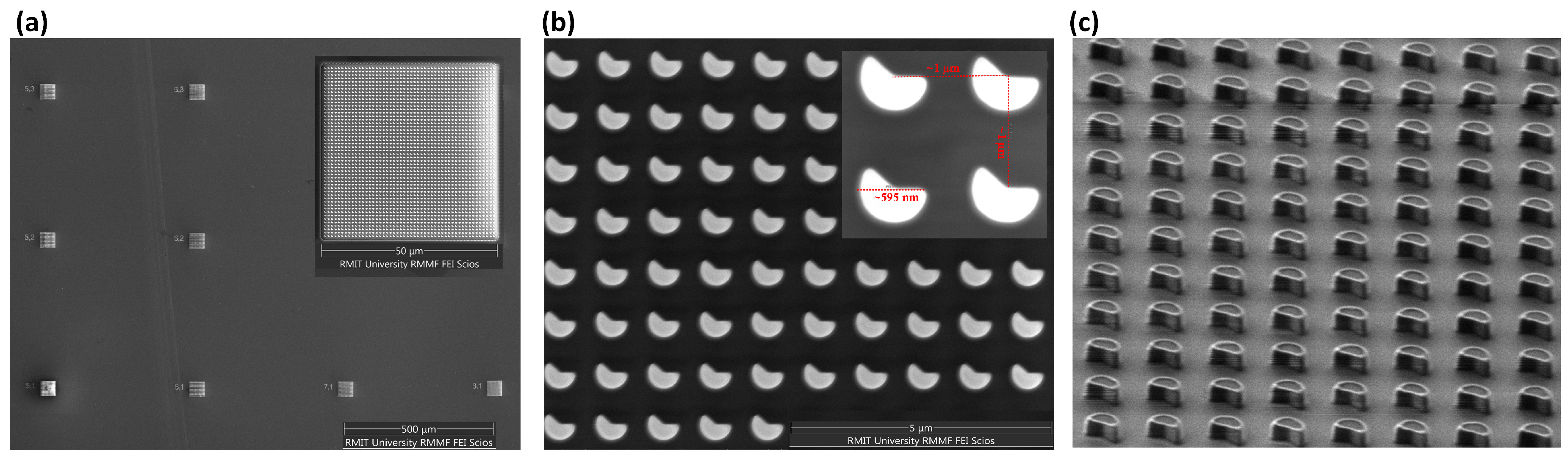 Preprints 176761 g001
