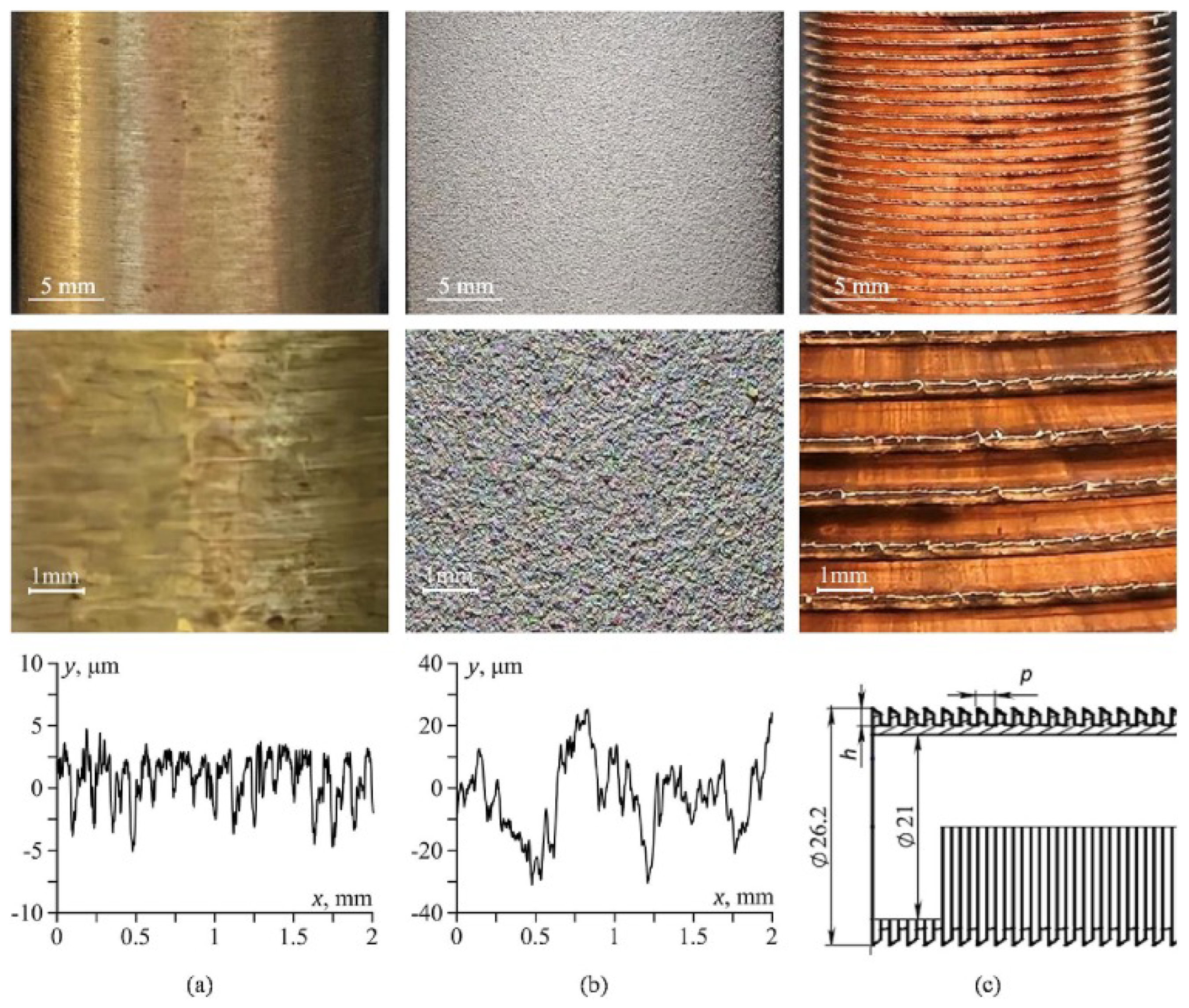 Preprints 172750 g004