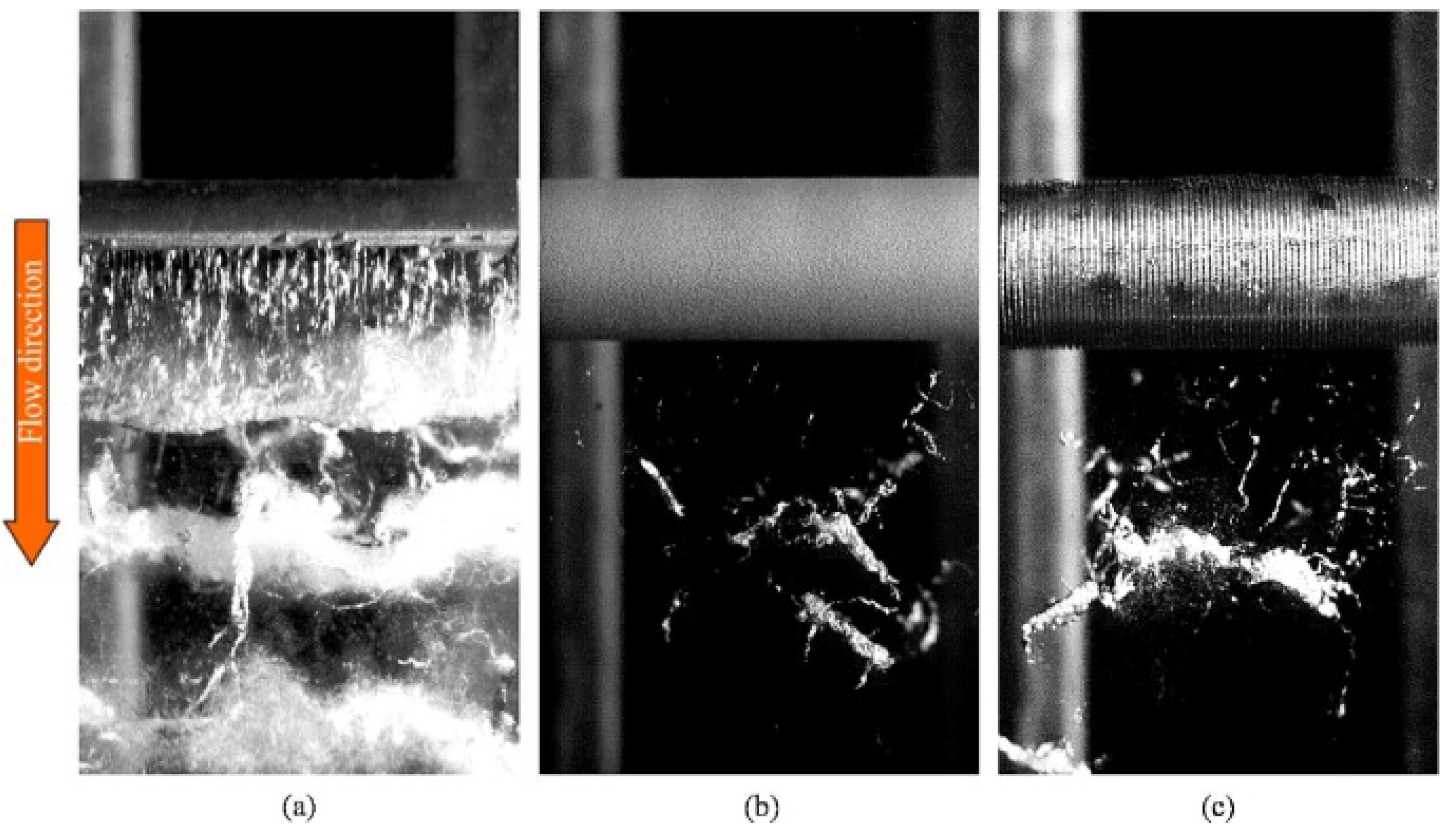 Preprints 172750 g005