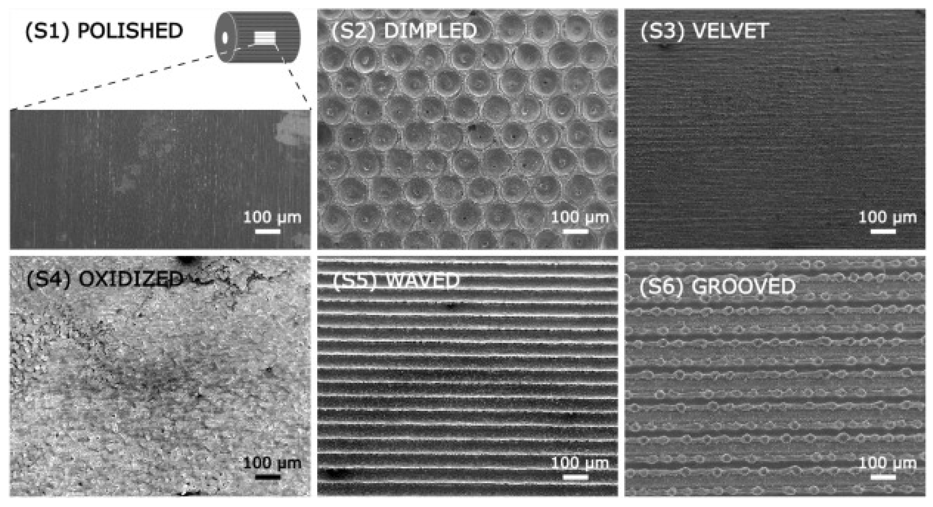Preprints 172750 g006