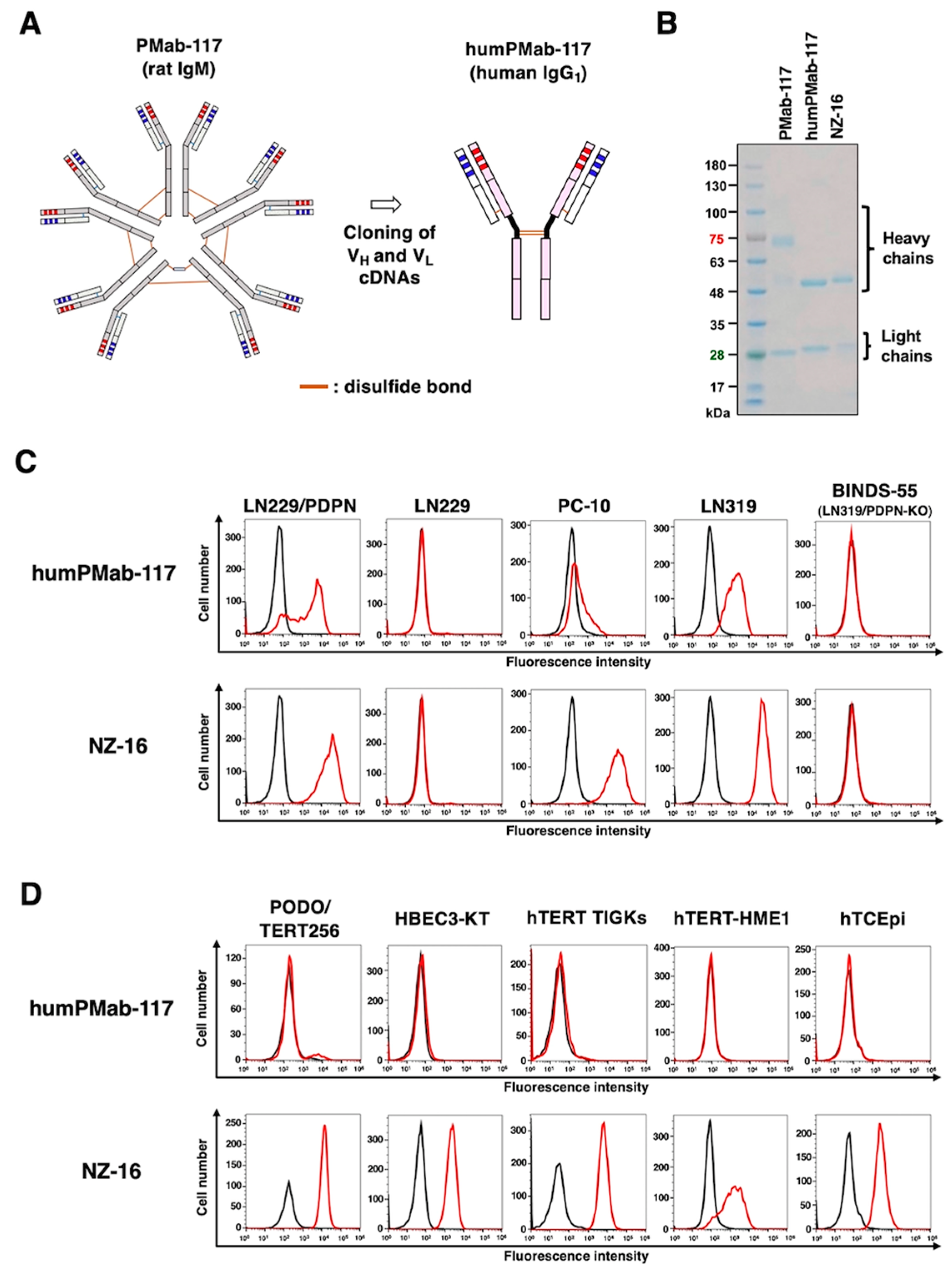Preprints 153905 g001
