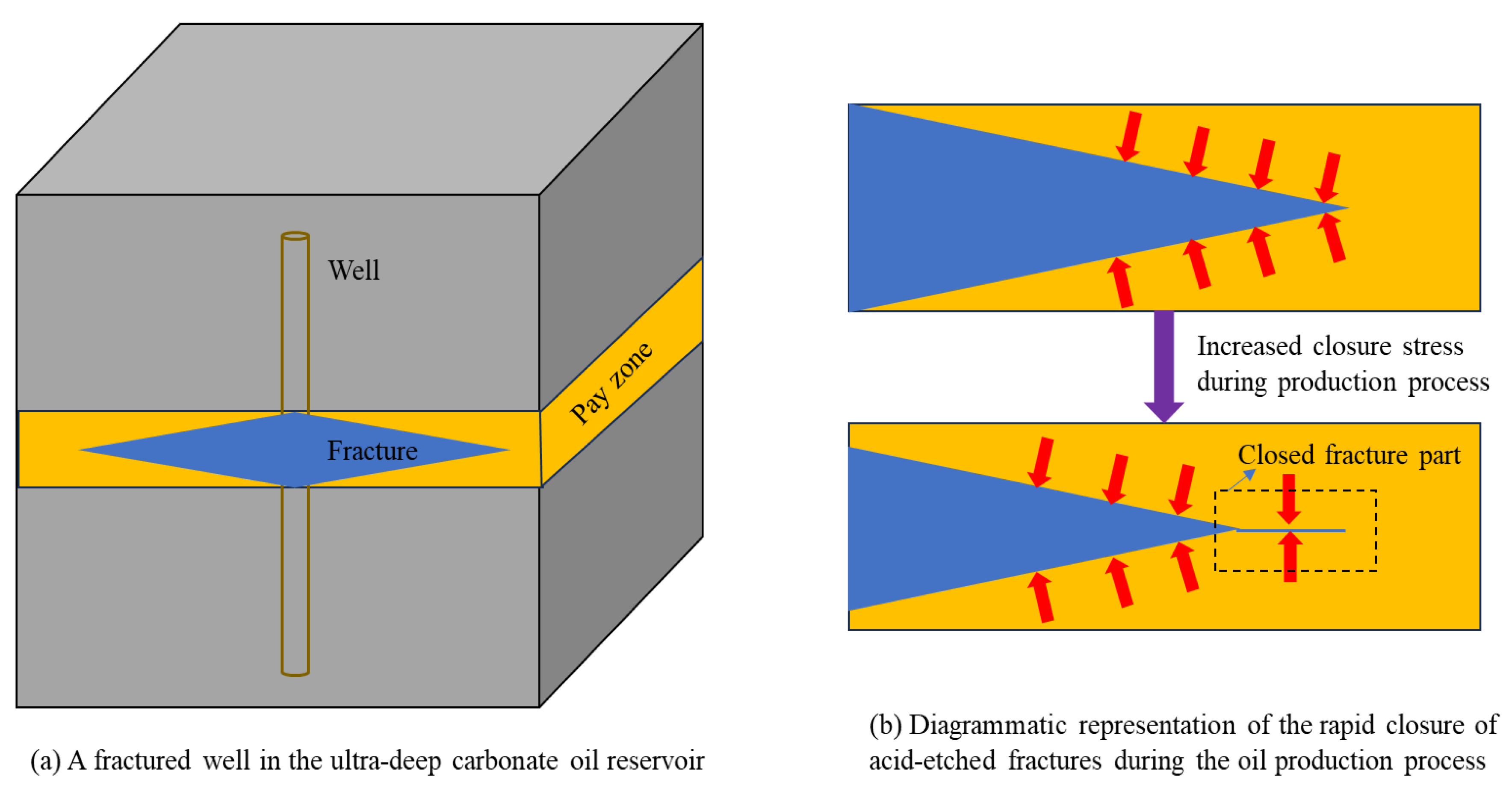 Preprints 155481 g001