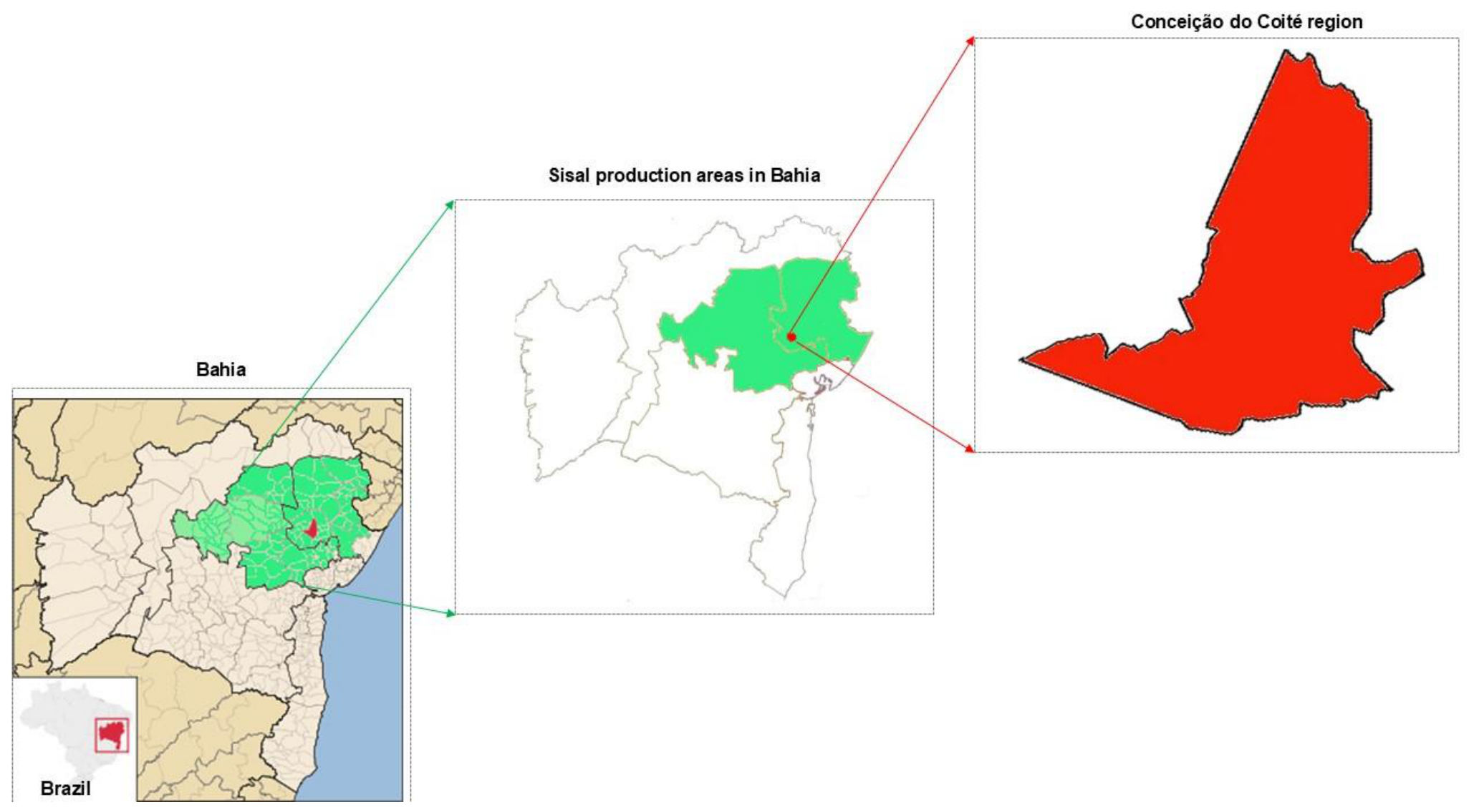 Preprints 226908 g001