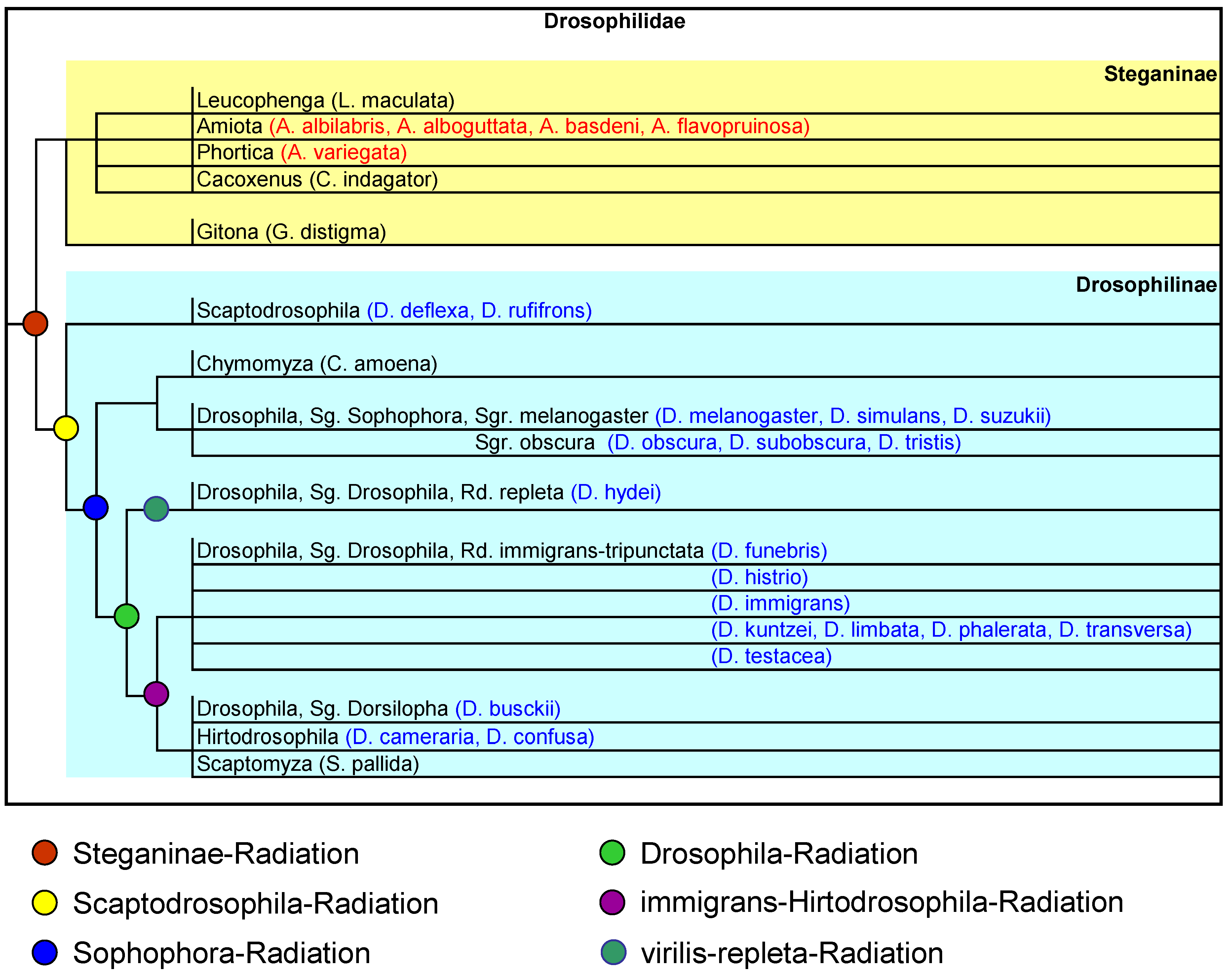 Preprints 145787 g001