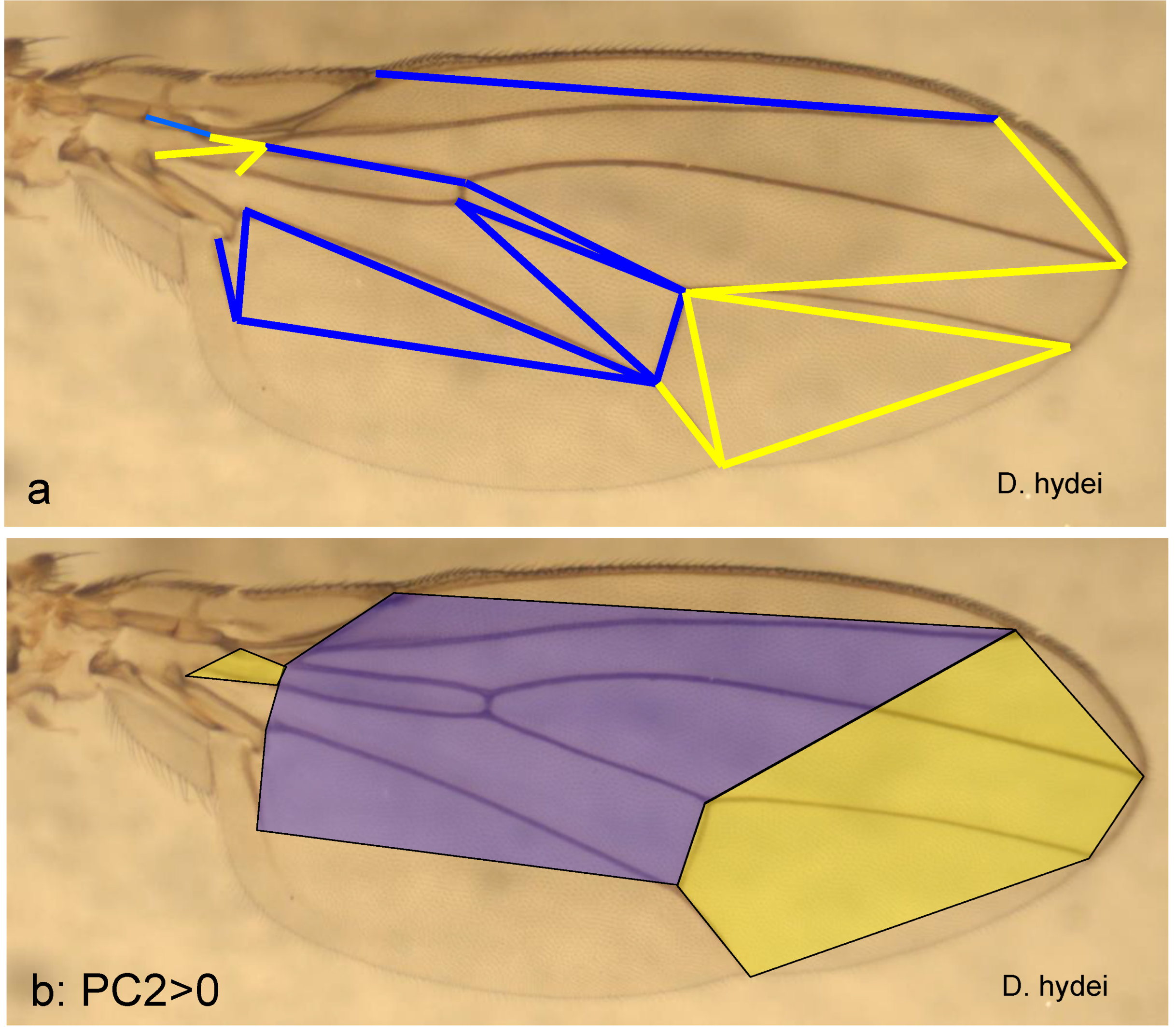 Preprints 145787 g005a