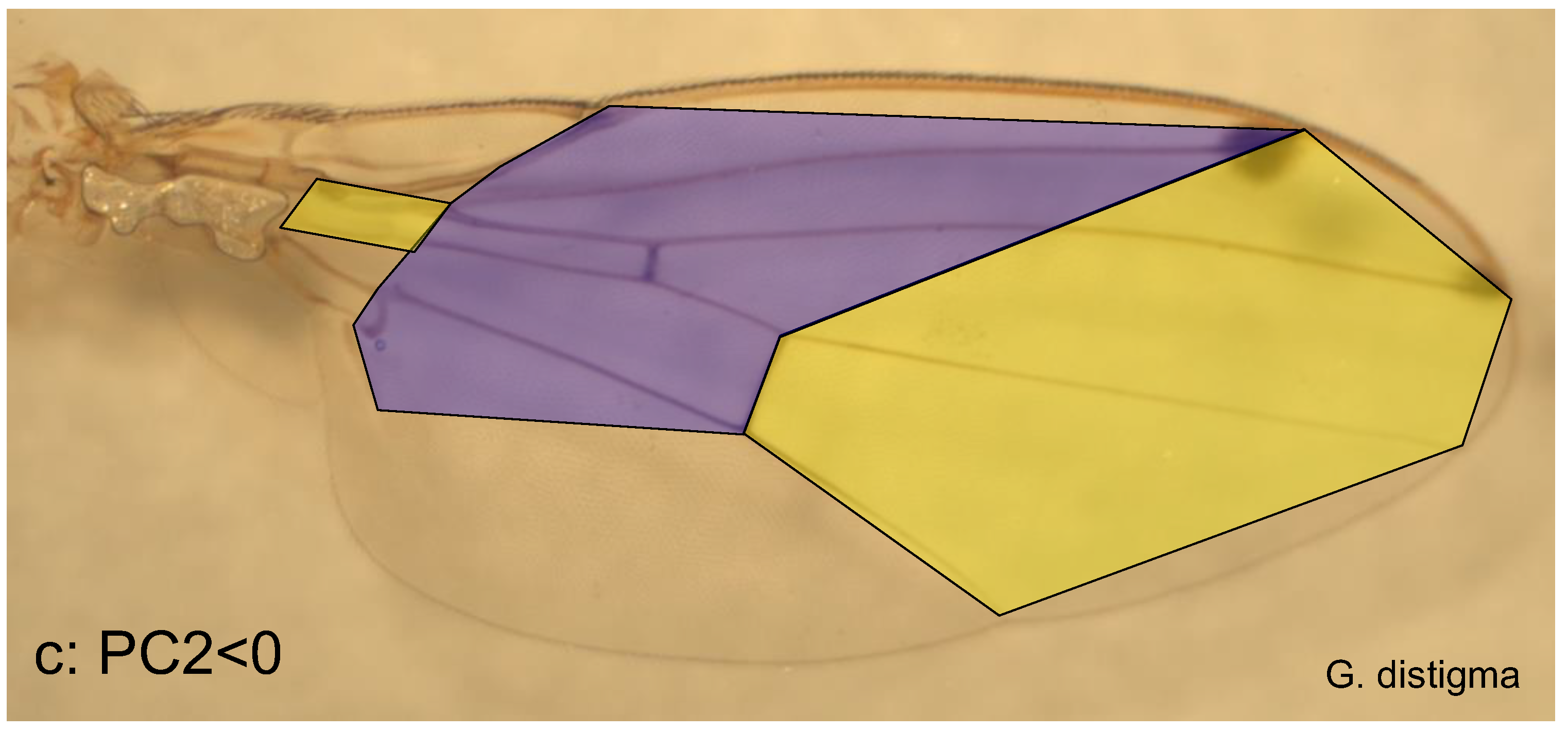 Preprints 145787 g005b