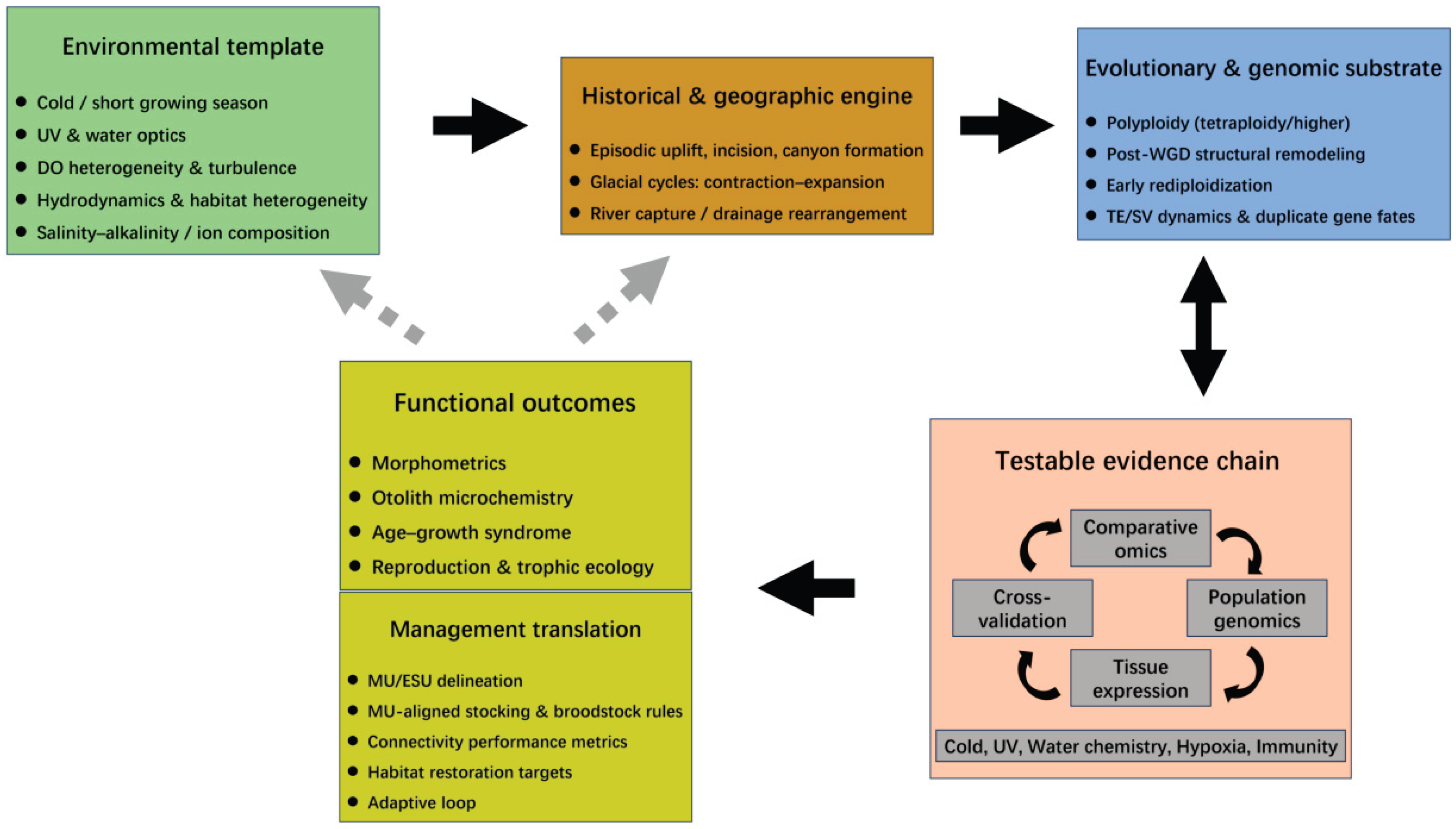 Preprints 195208 g001