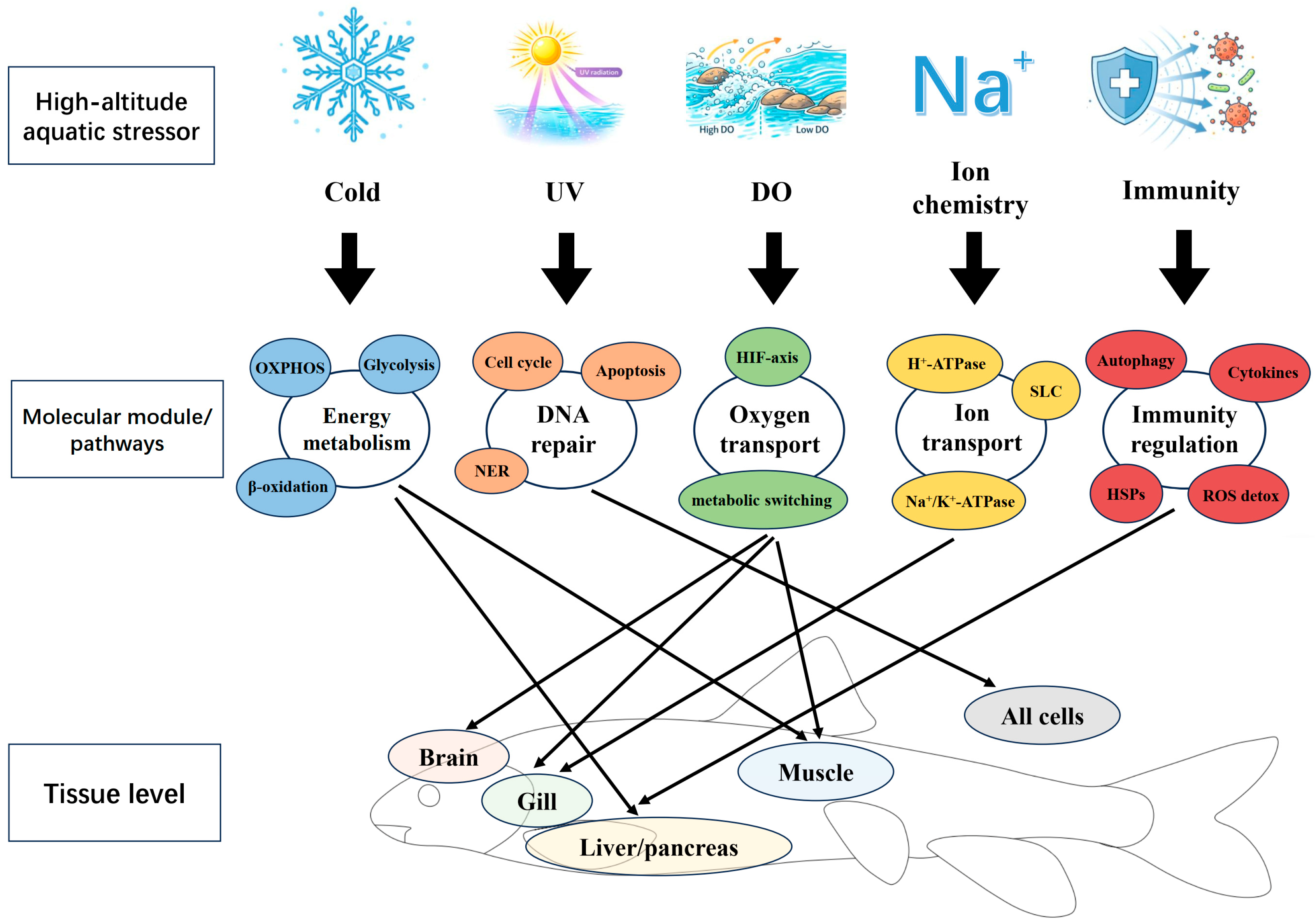 Preprints 195208 g002