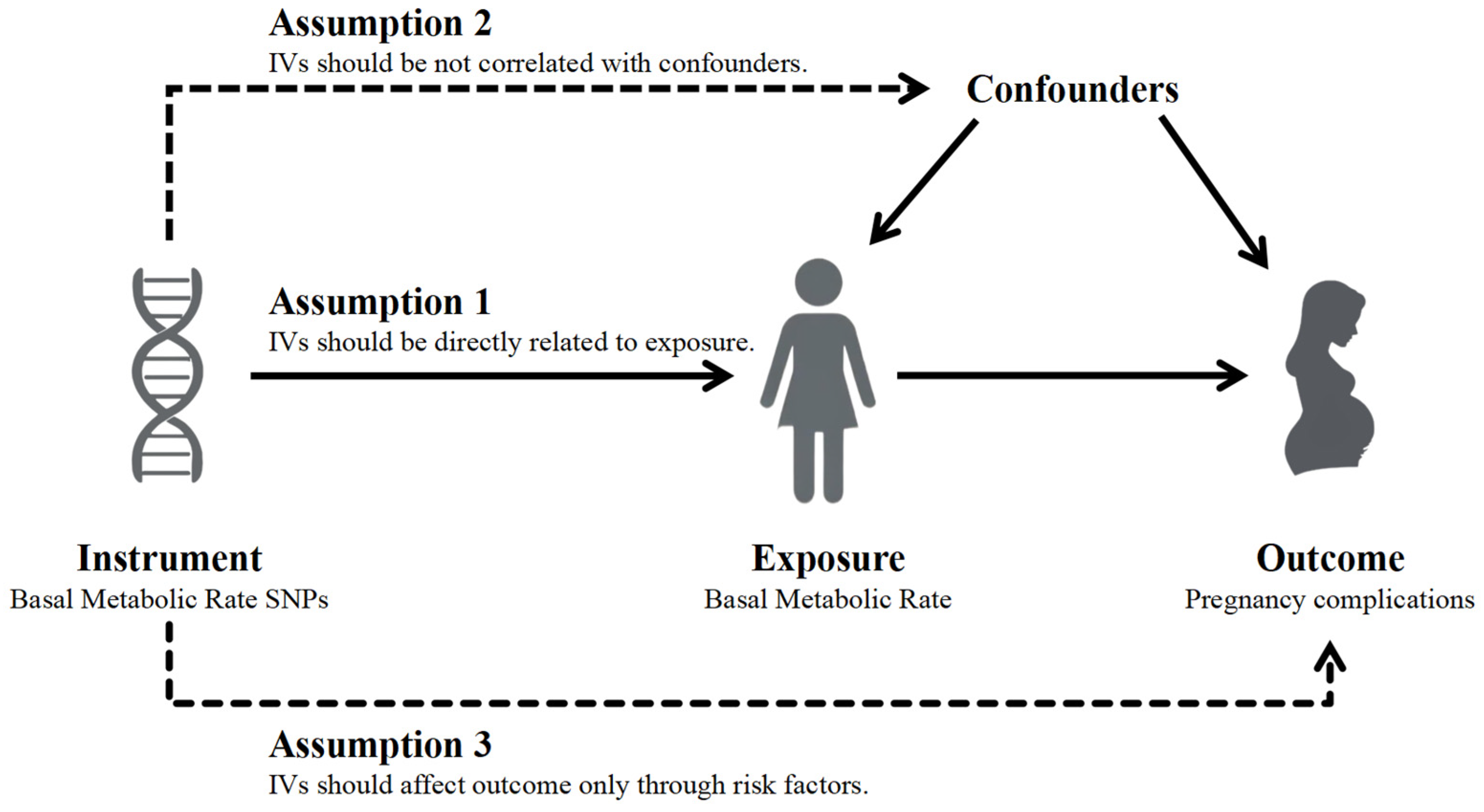 Preprints 151668 g001