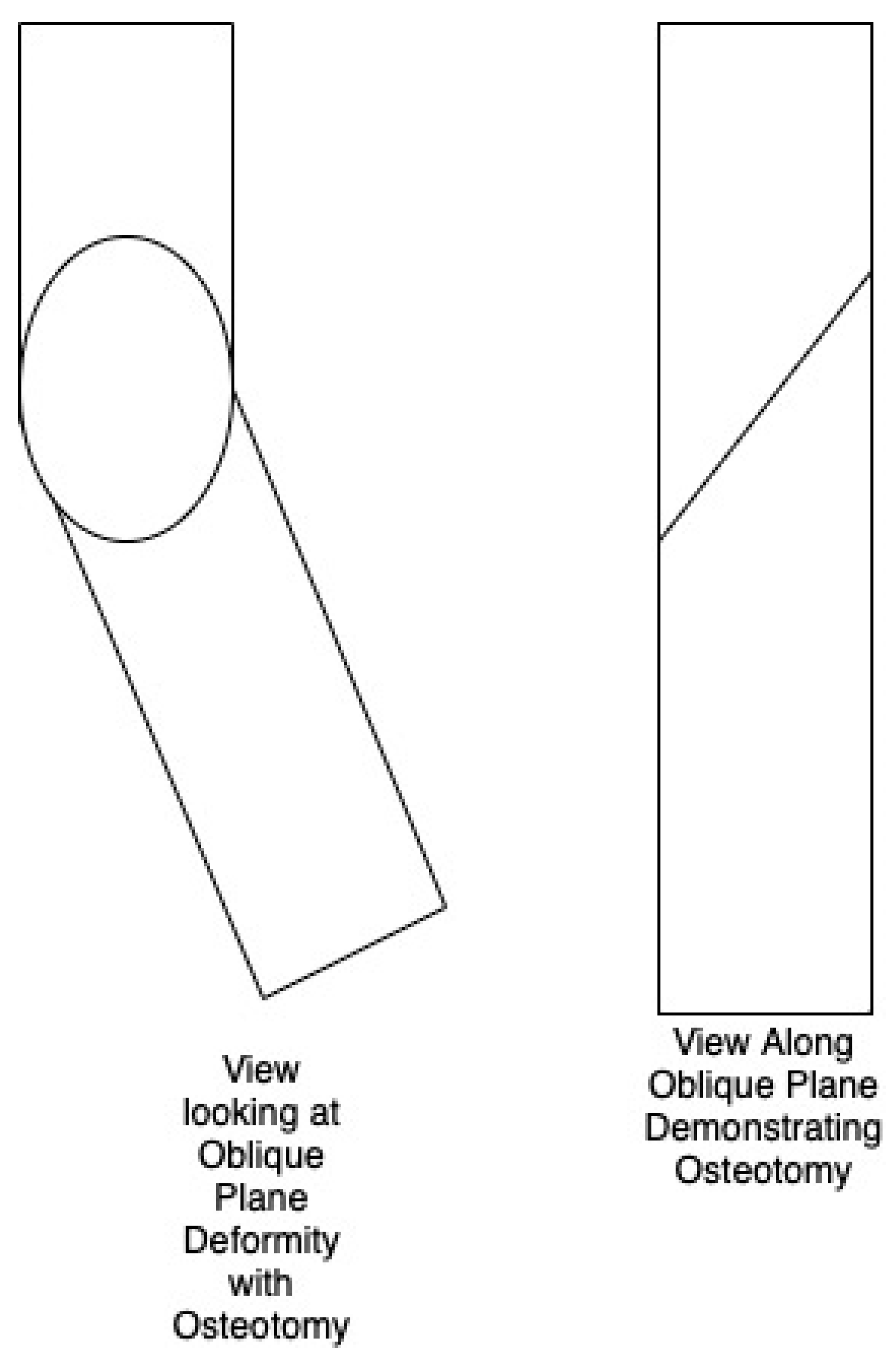 Preprints 108758 g003