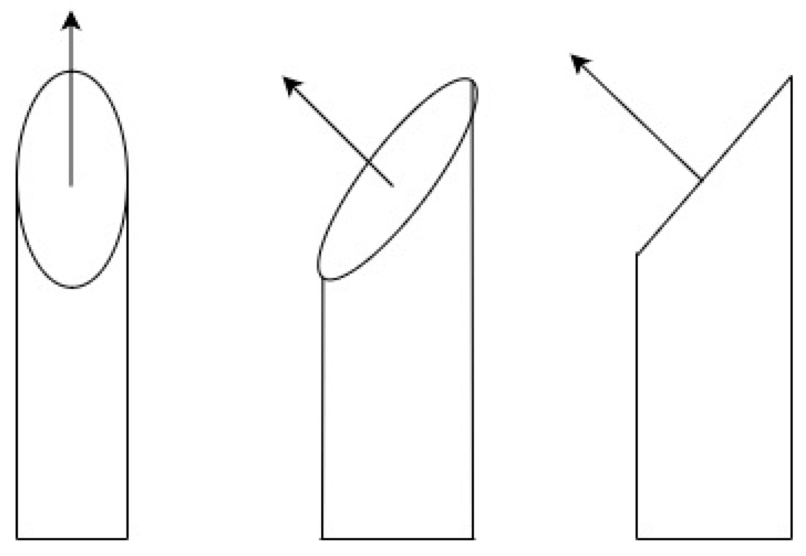 Preprints 108758 g004