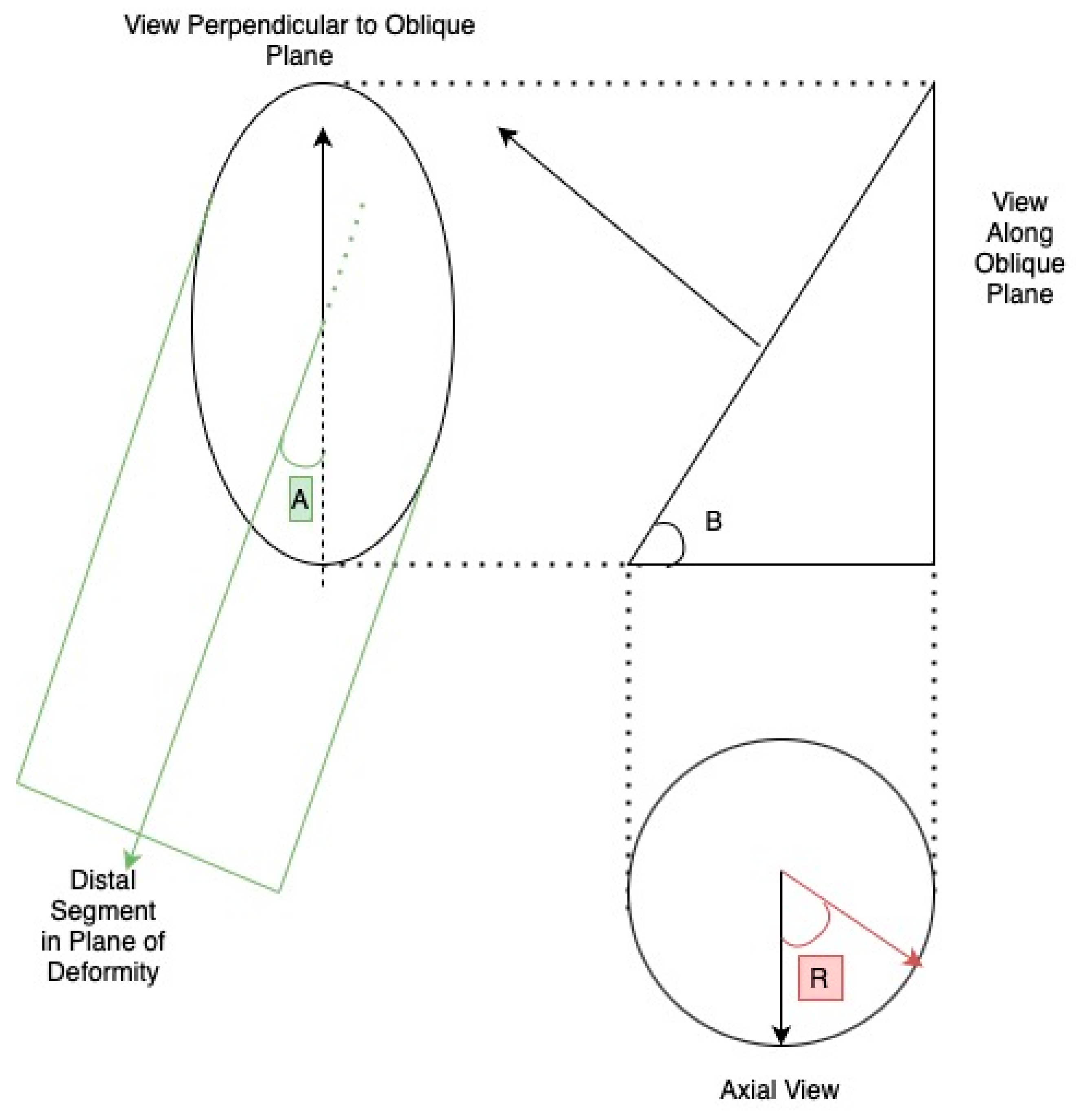 Preprints 108758 g005
