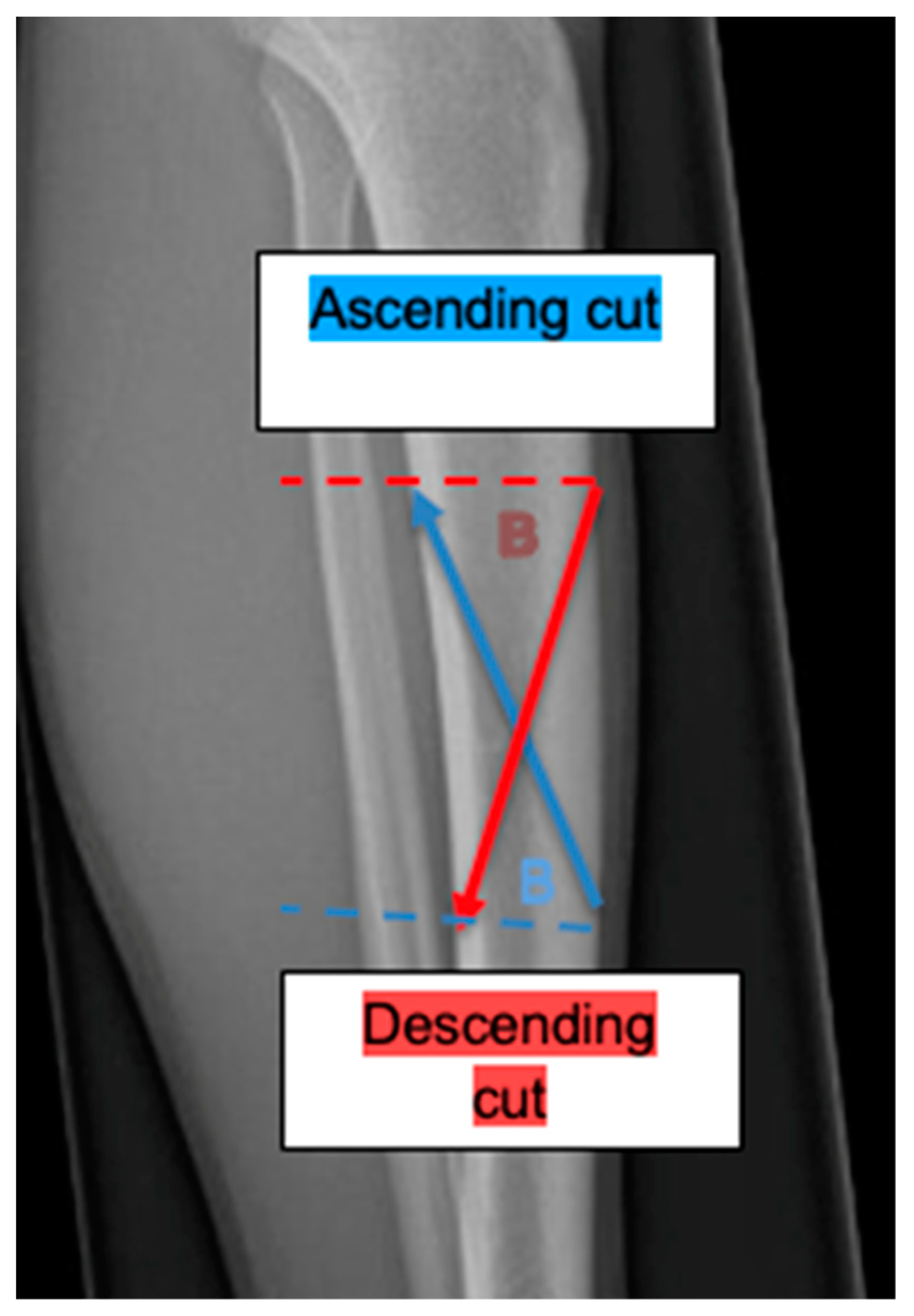 Preprints 108758 g007