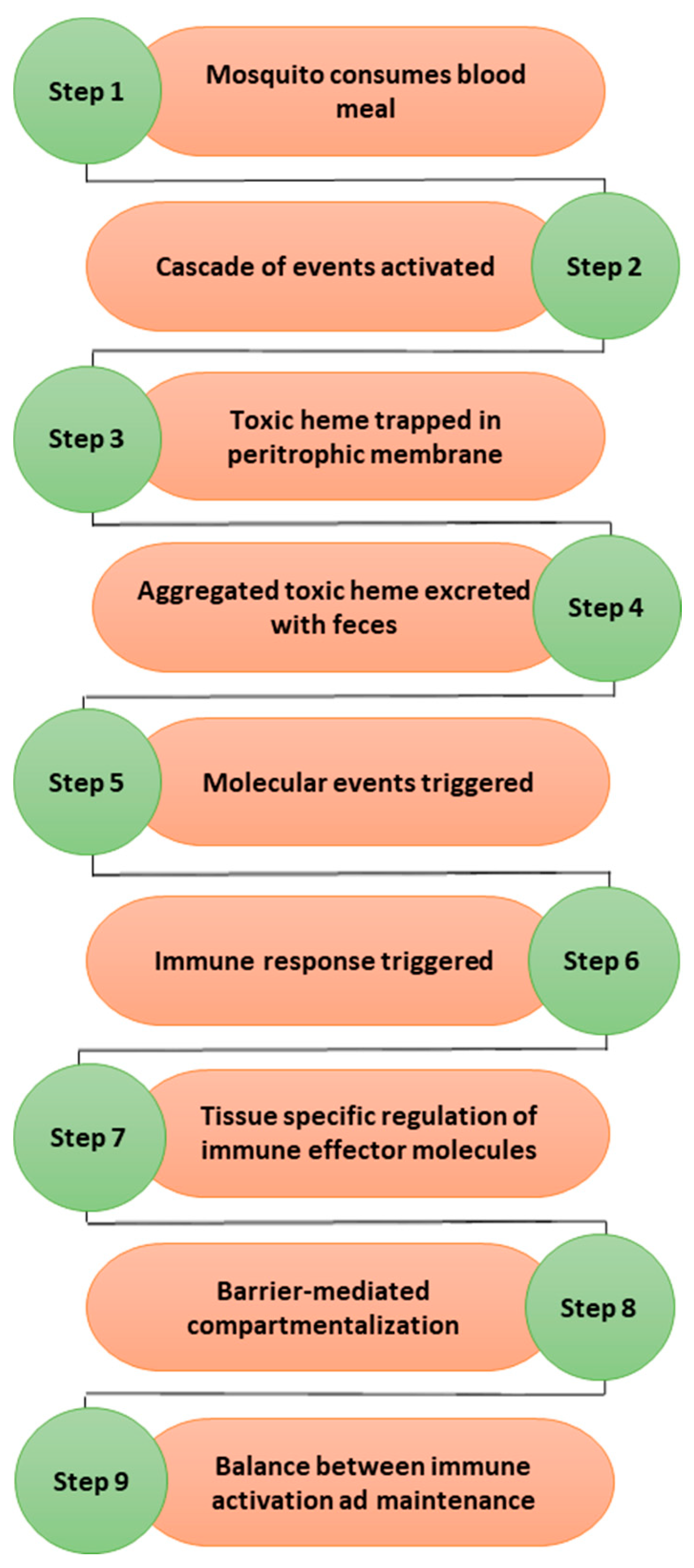 Preprints 95554 g001