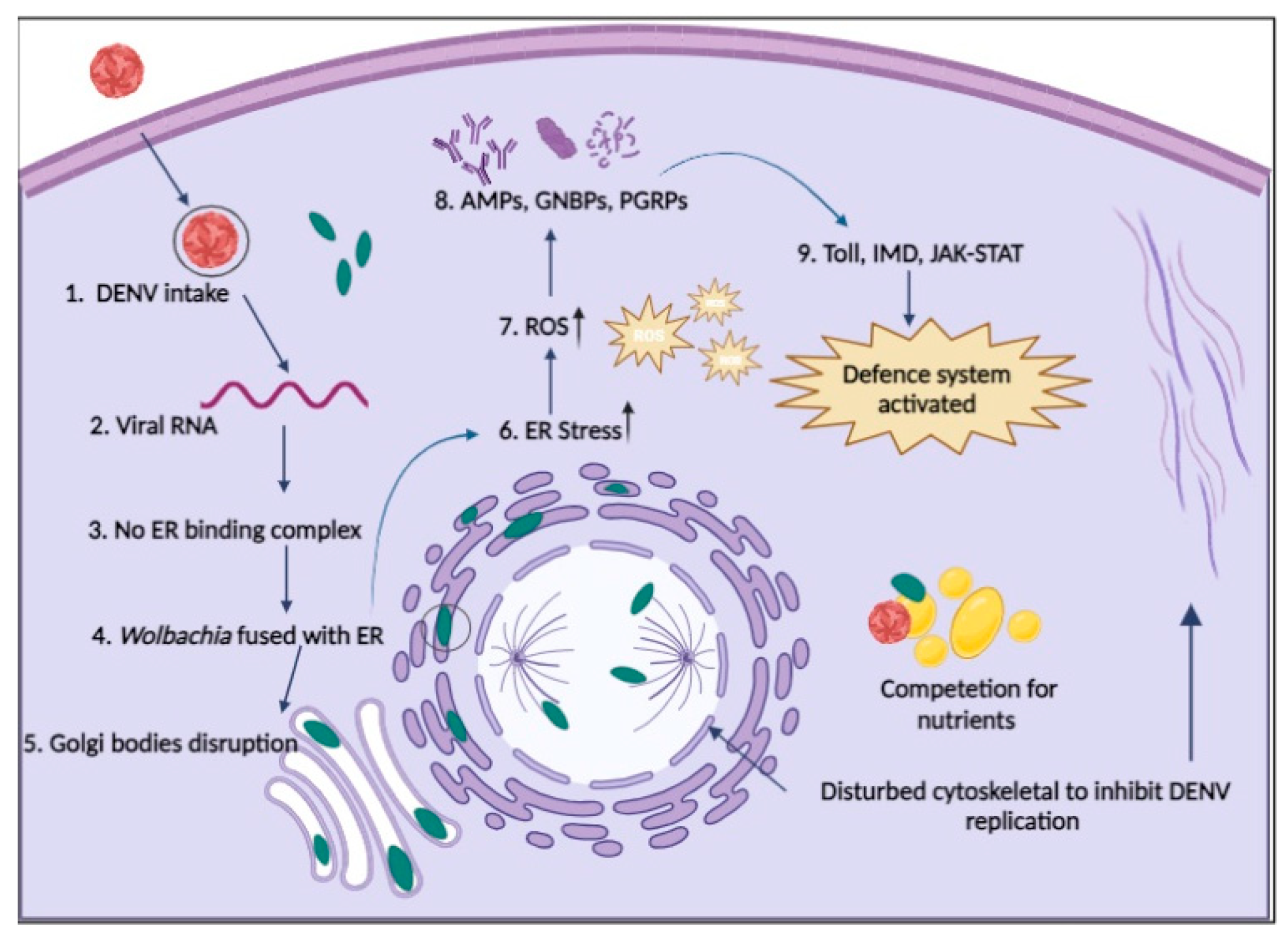 Preprints 95554 g002