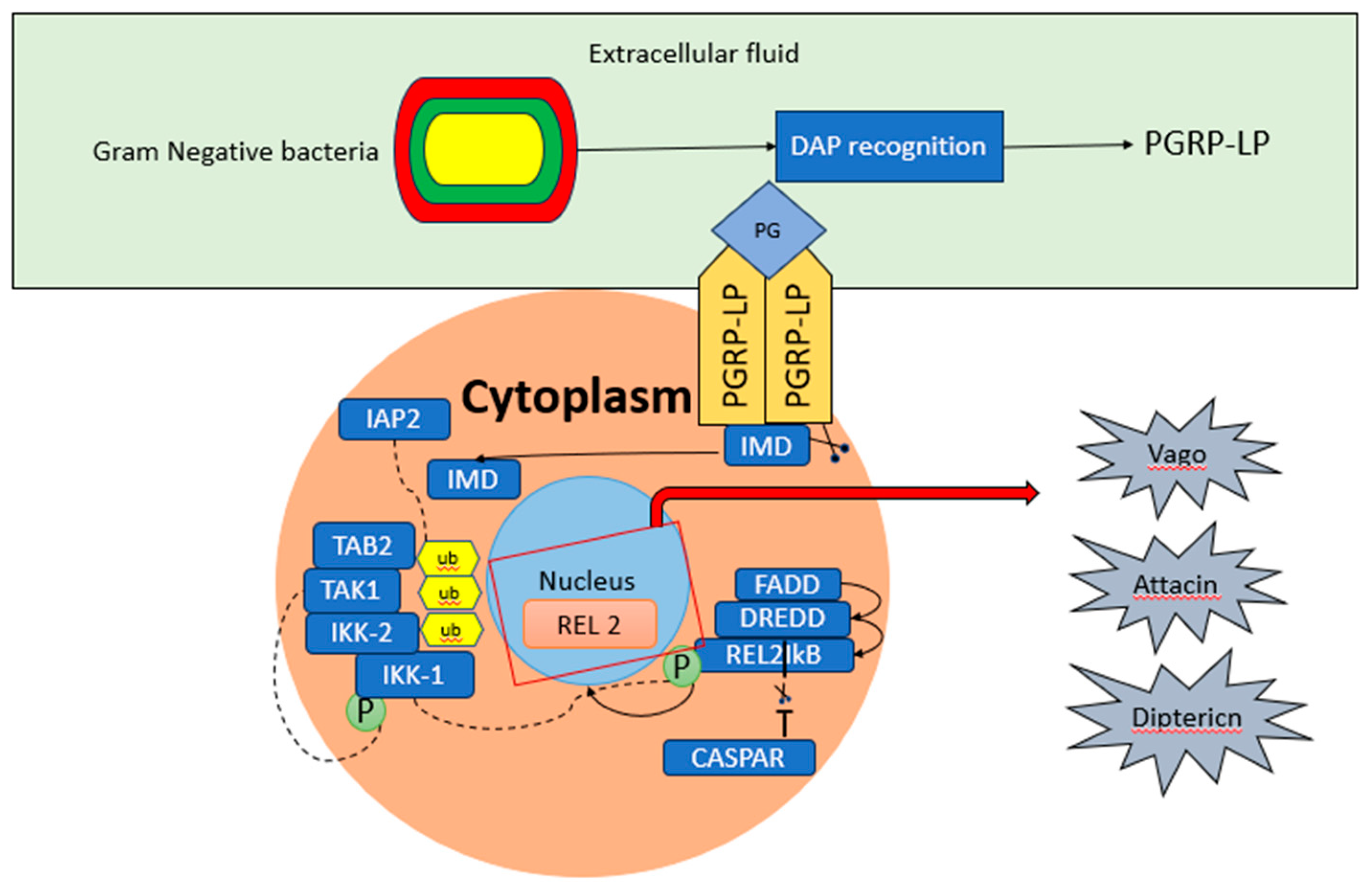 Preprints 95554 g005