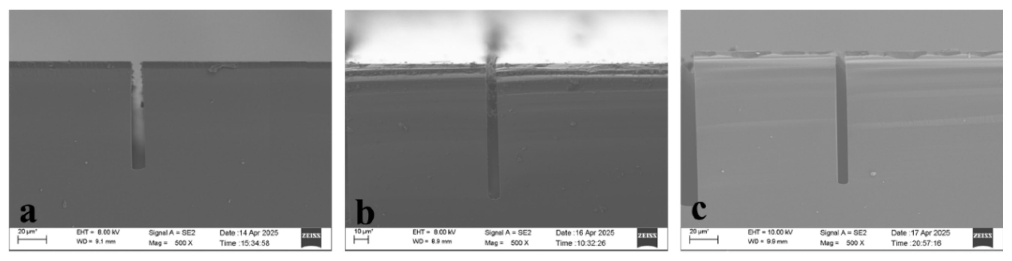 Preprints 189068 g002
