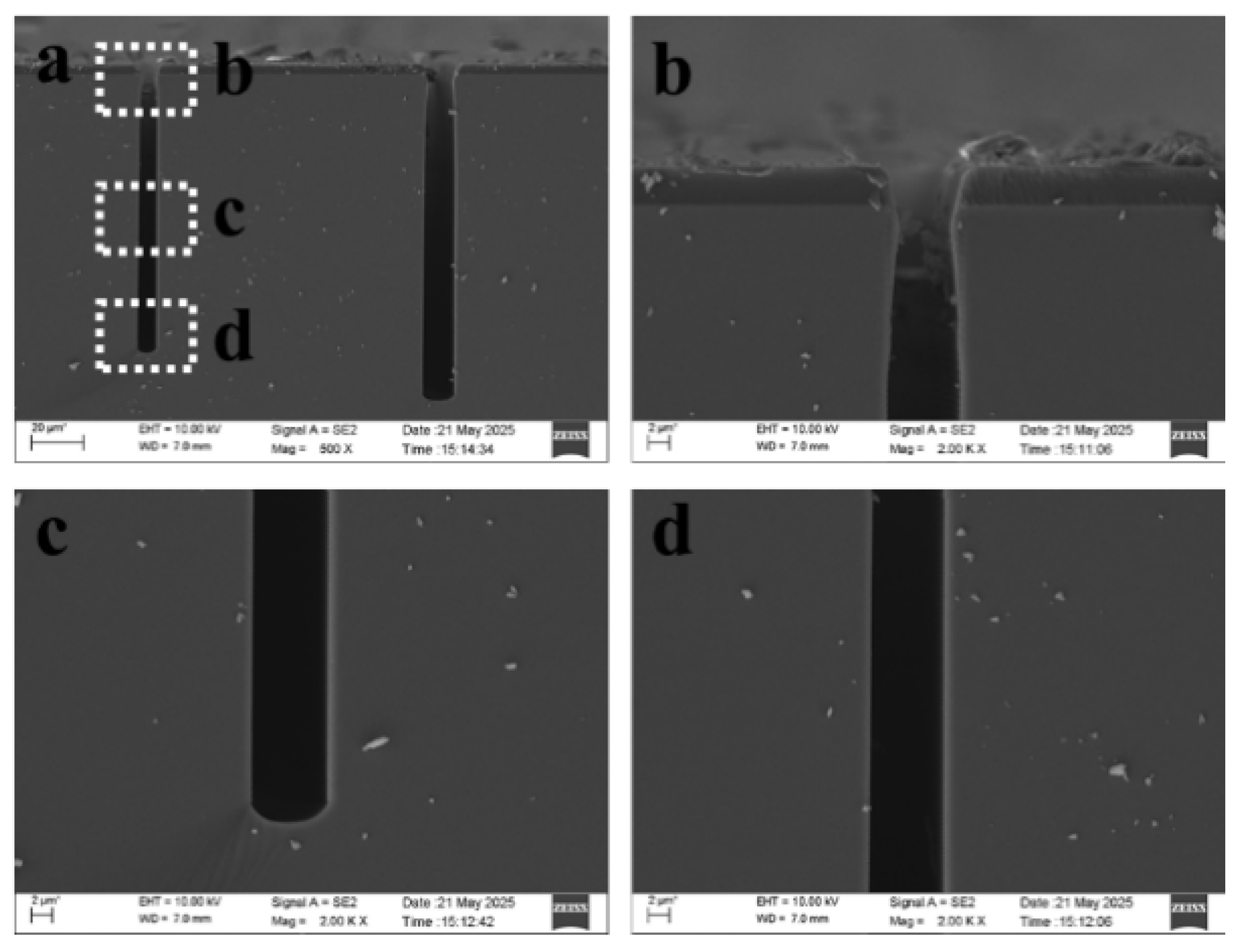 Preprints 189068 g005
