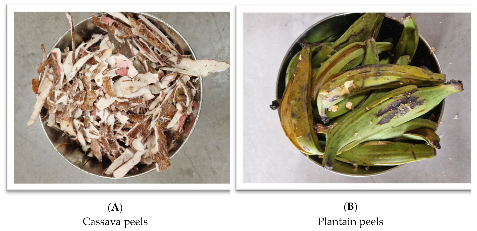 Preprints 139653 i001