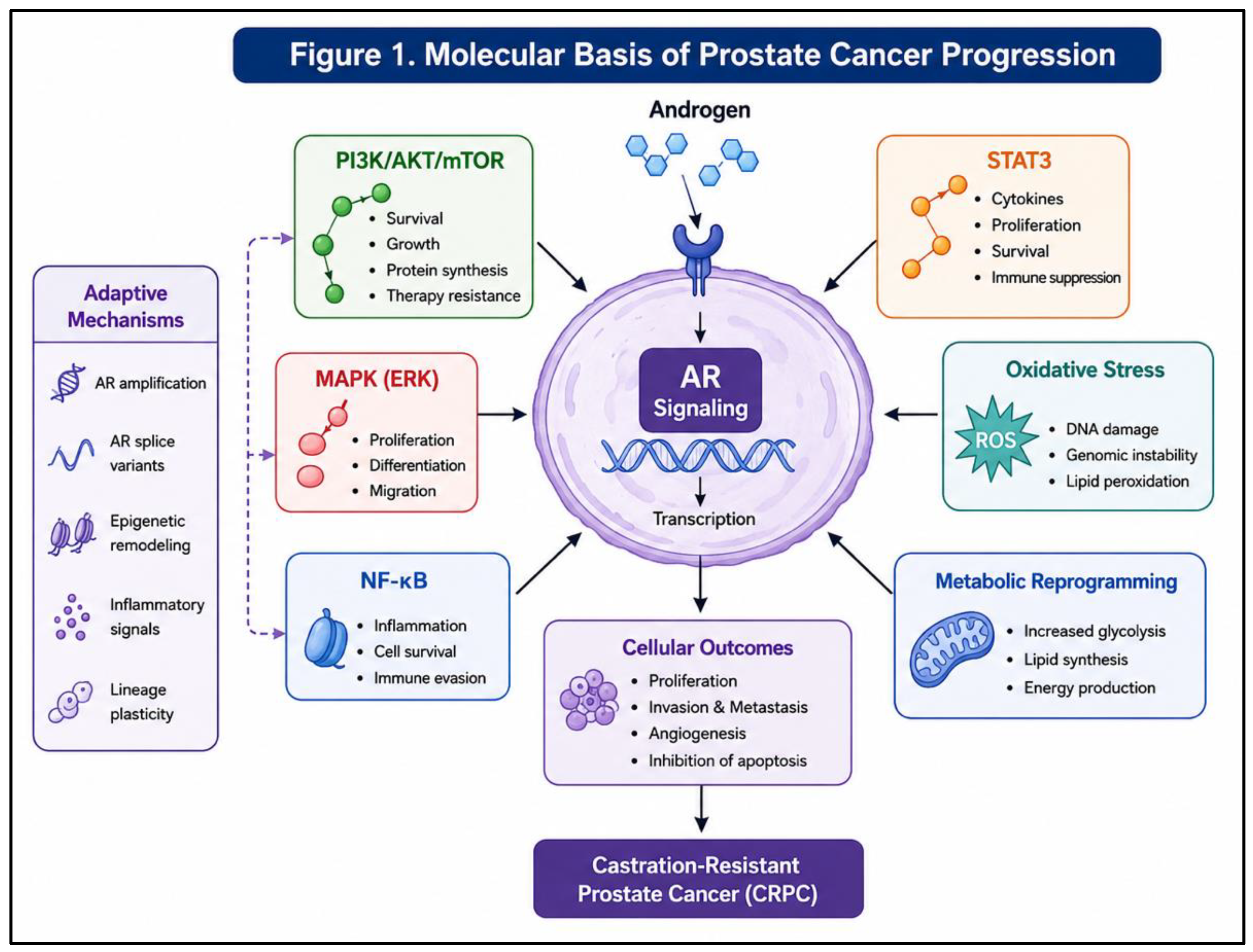Preprints 215160 g001
