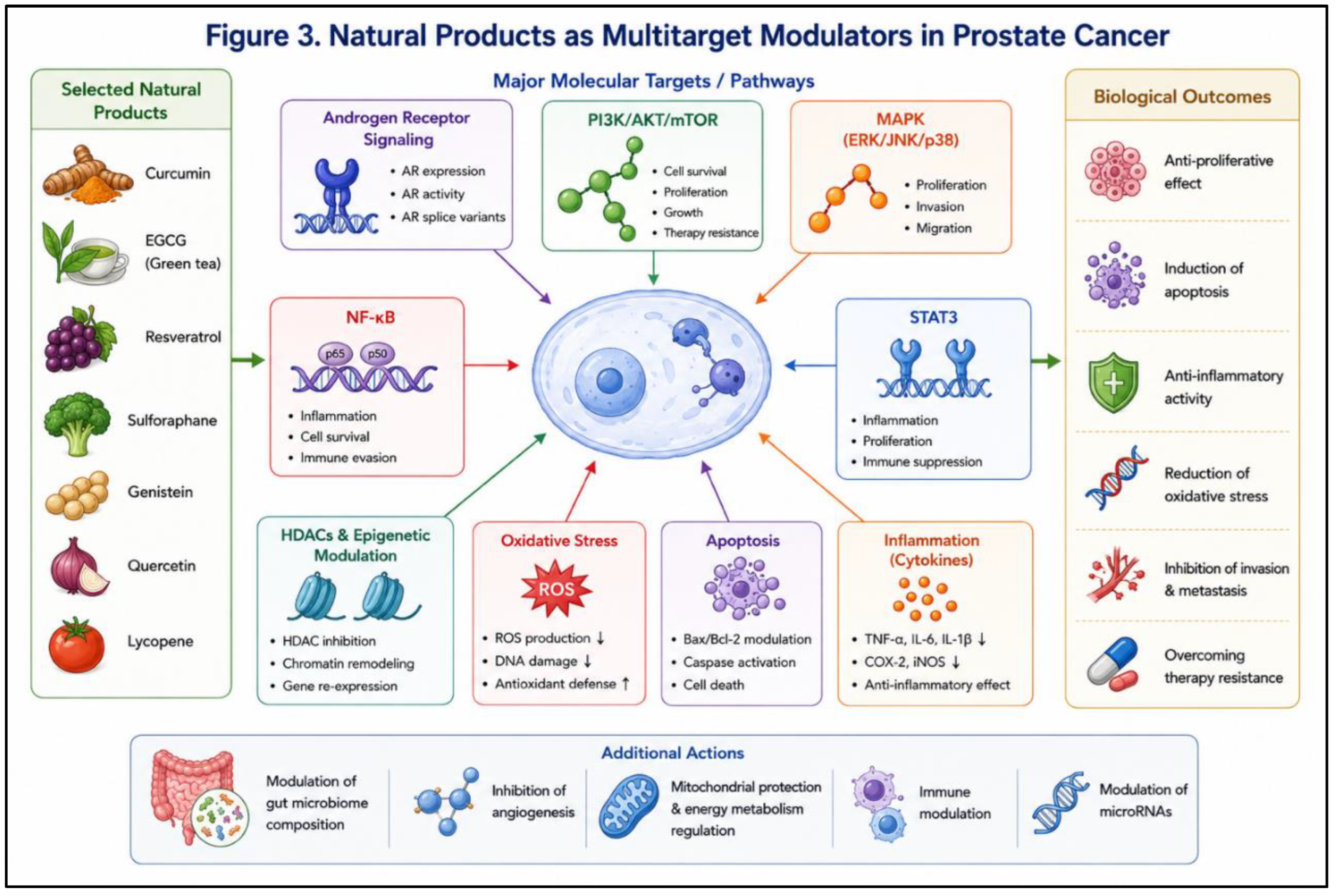 Preprints 215160 g003