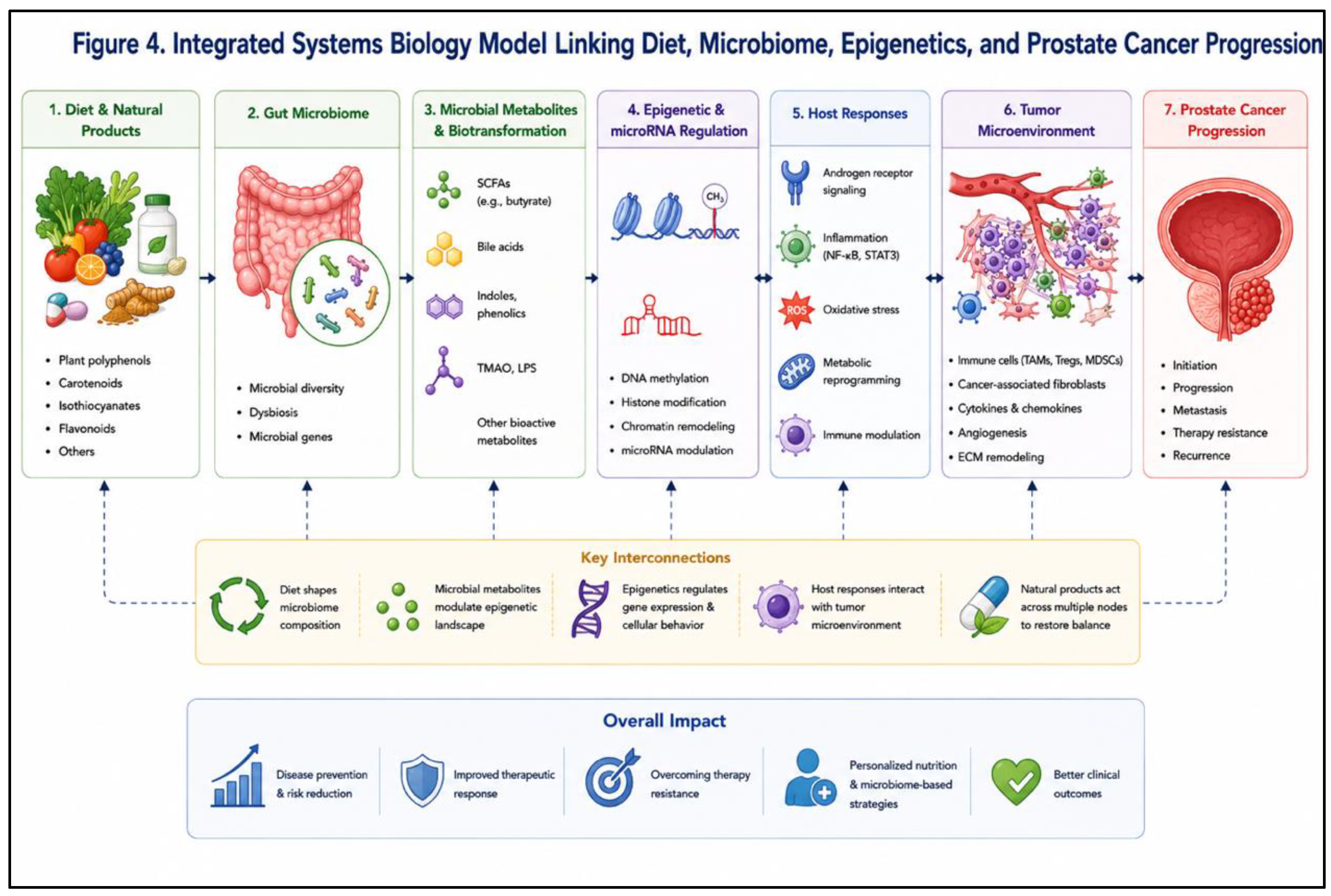 Preprints 215160 g004