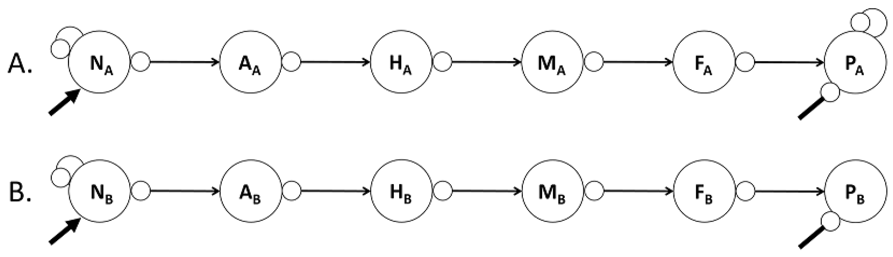 Preprints 170486 g002