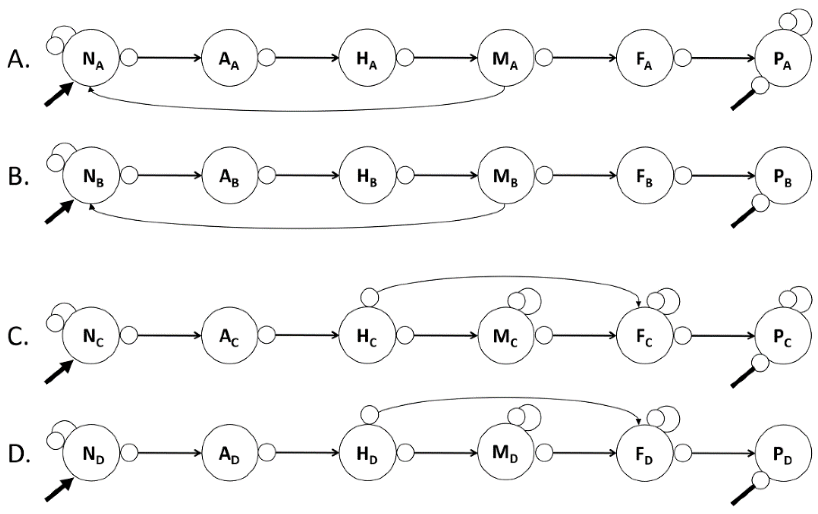 Preprints 170486 g003