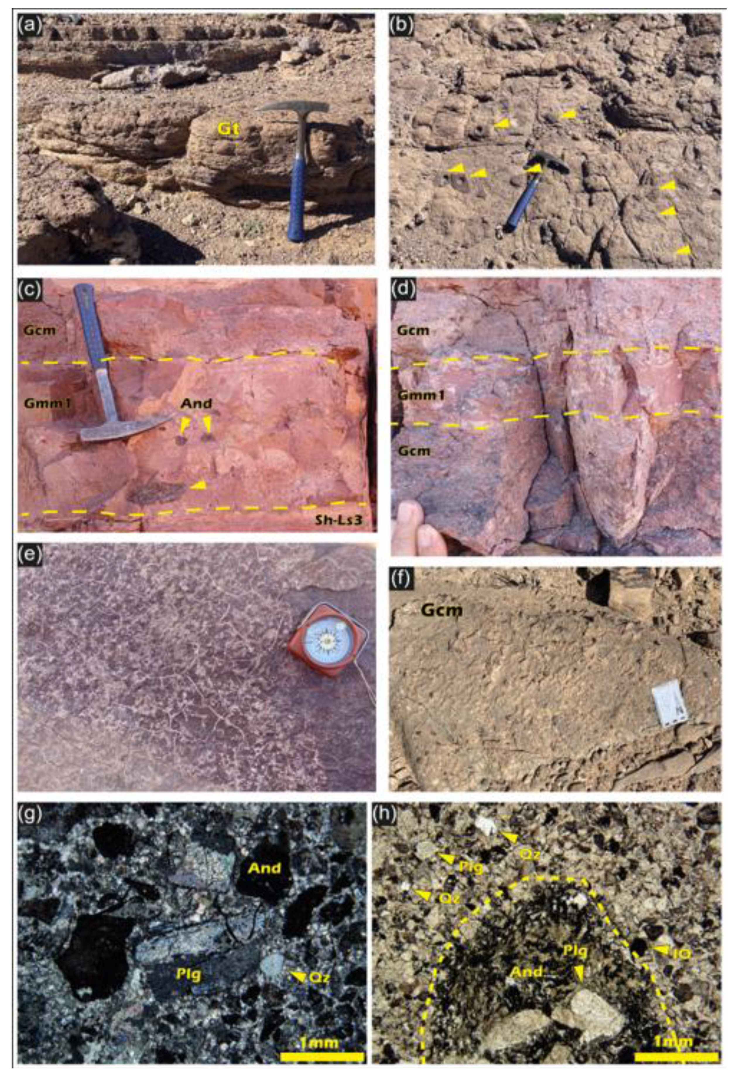 Preprints 196832 g004