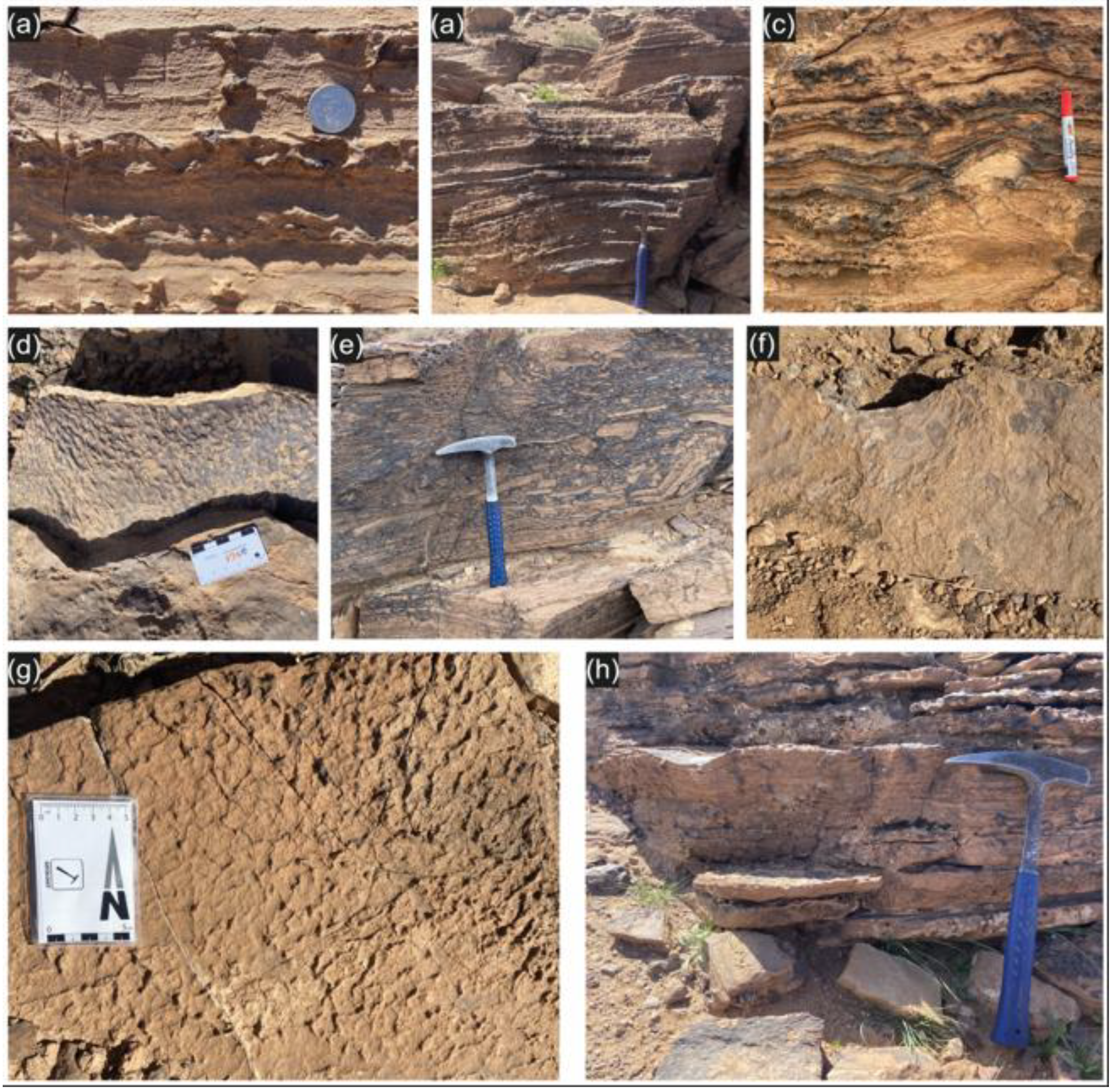 Preprints 196832 g007