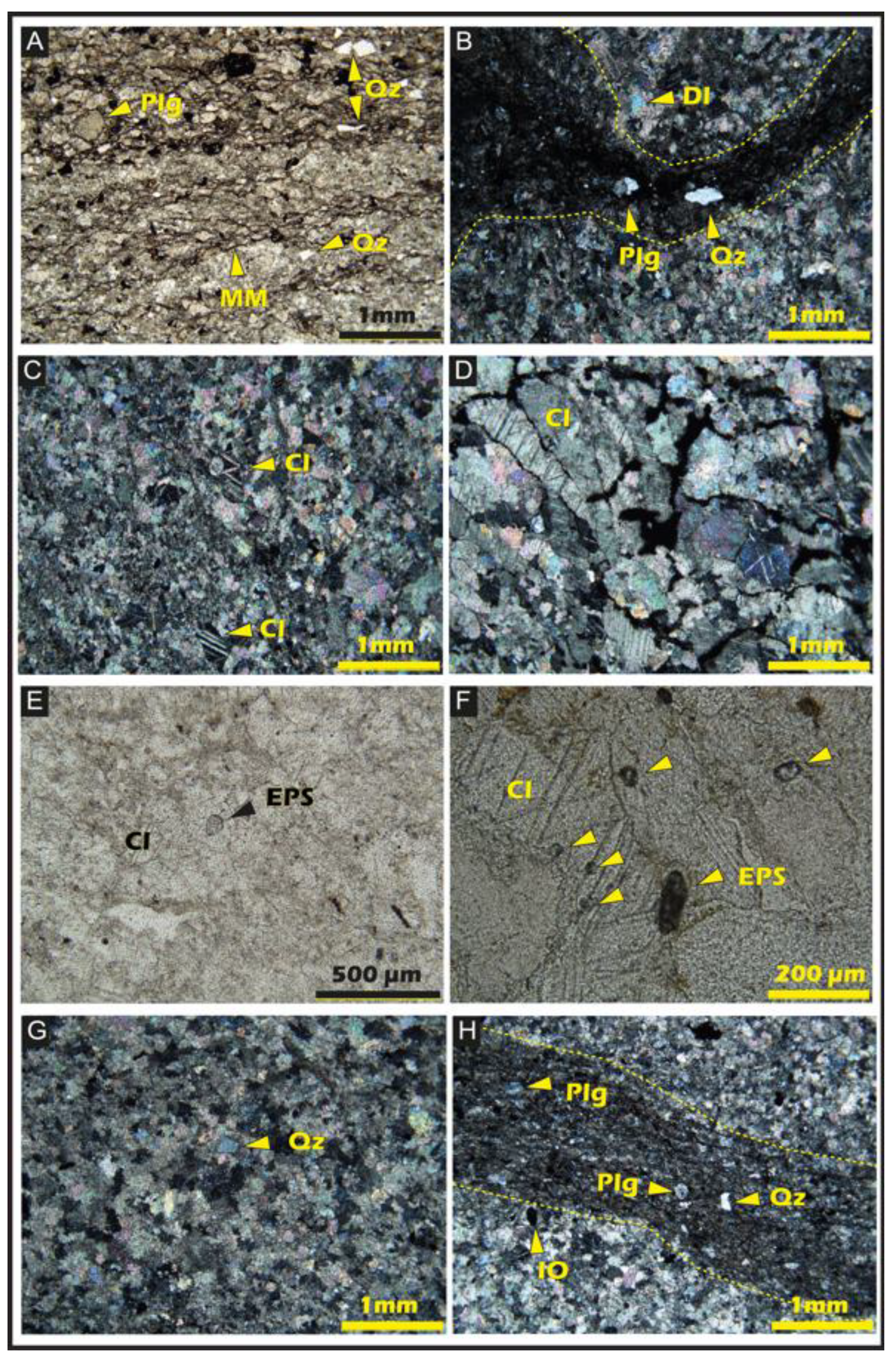 Preprints 196832 g008