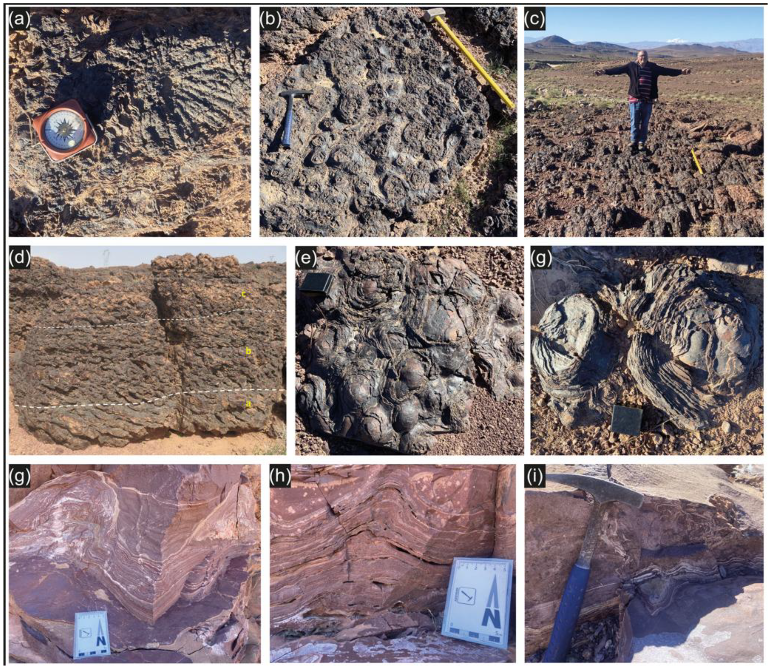 Preprints 196832 g009