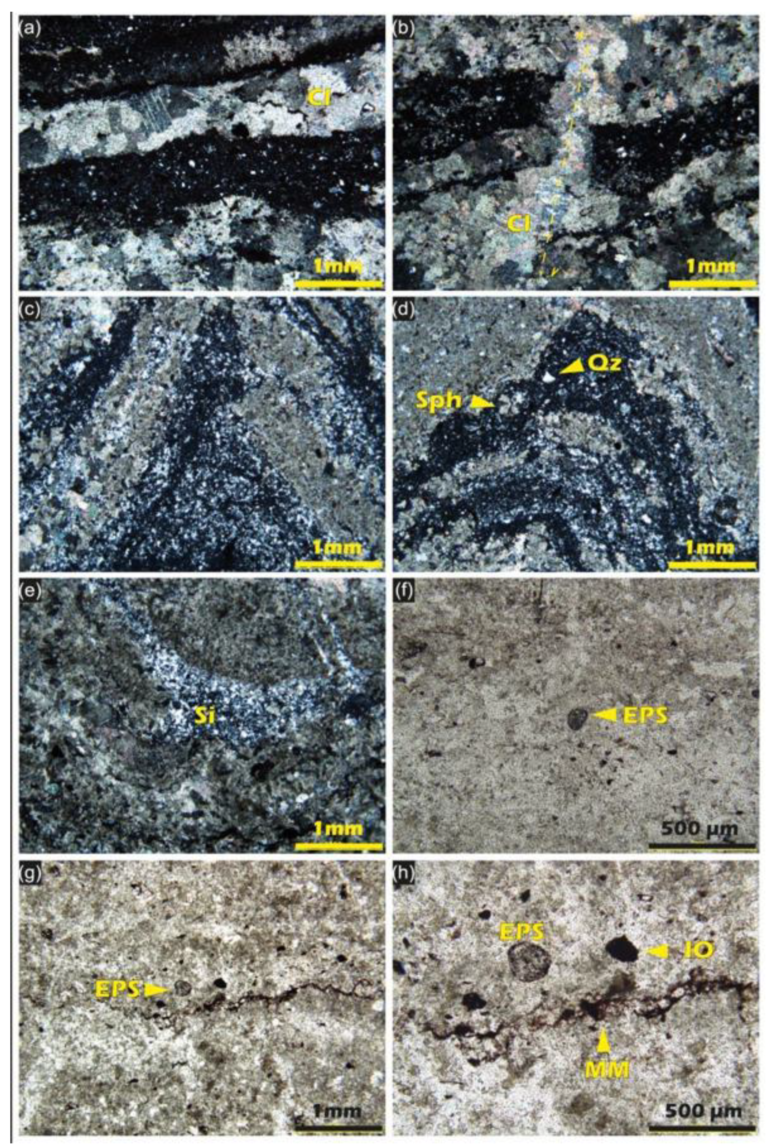 Preprints 196832 g010