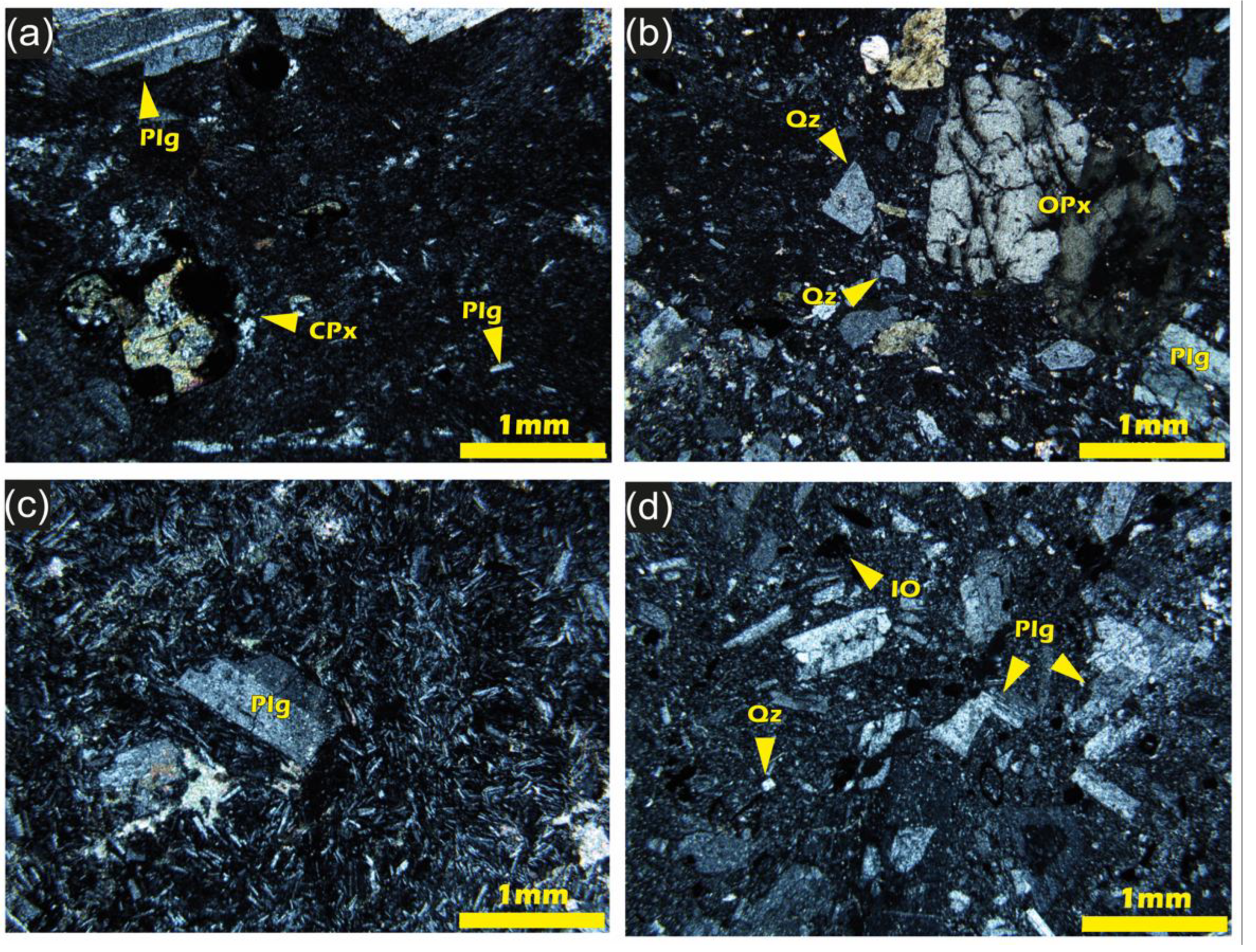 Preprints 196832 g012