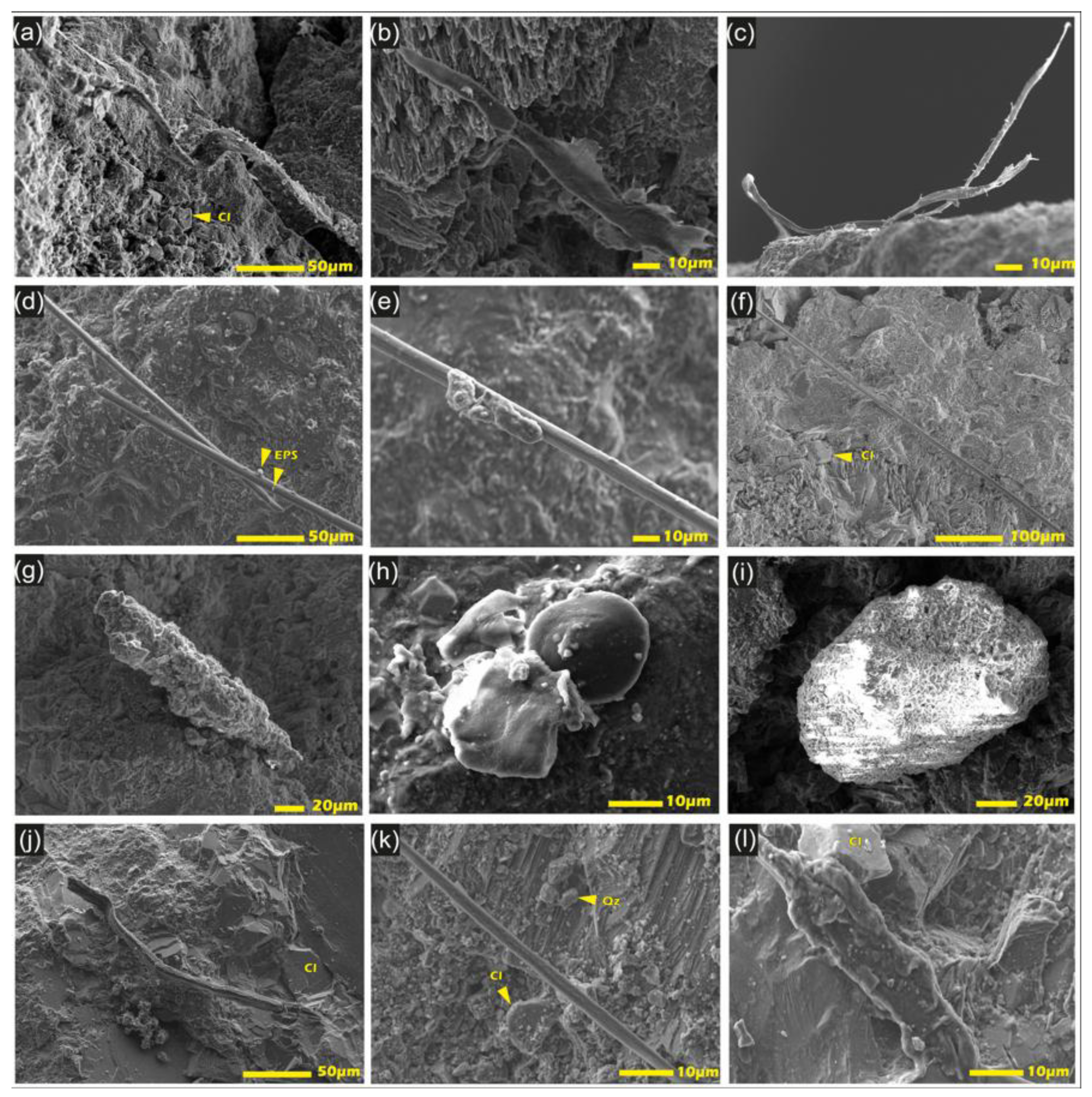 Preprints 196832 g013